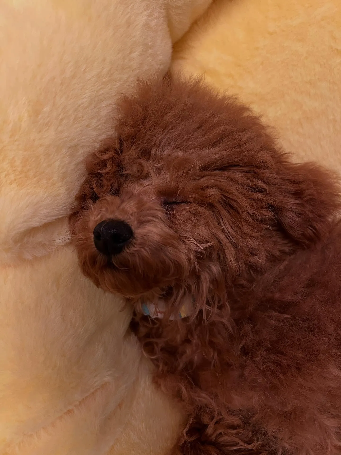 冬が来ました‼️、宮城の皆さん！寒い季節に備えてエアコンの準...