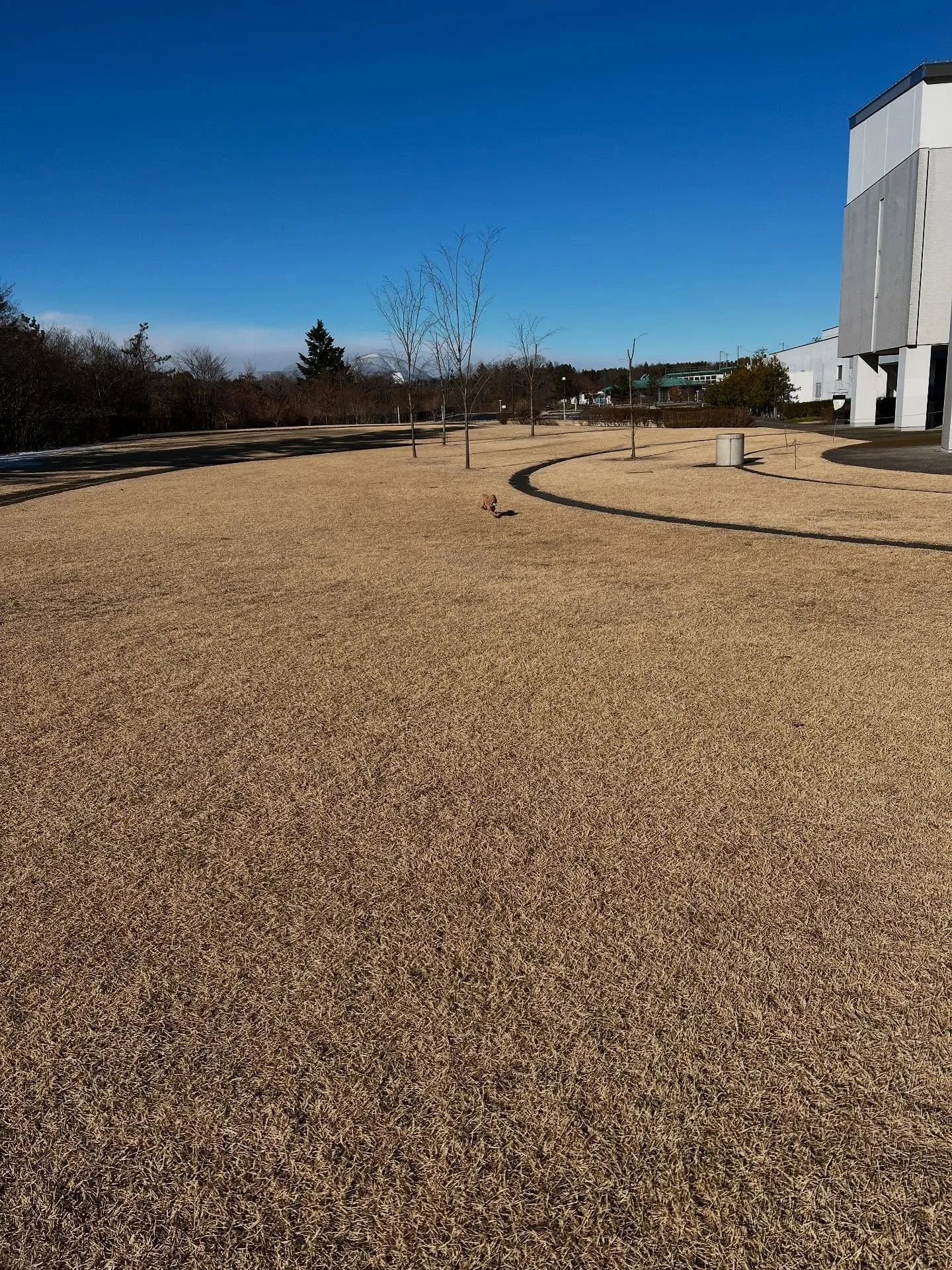 こんにちは、エアコンをお探しの皆さん🌬️