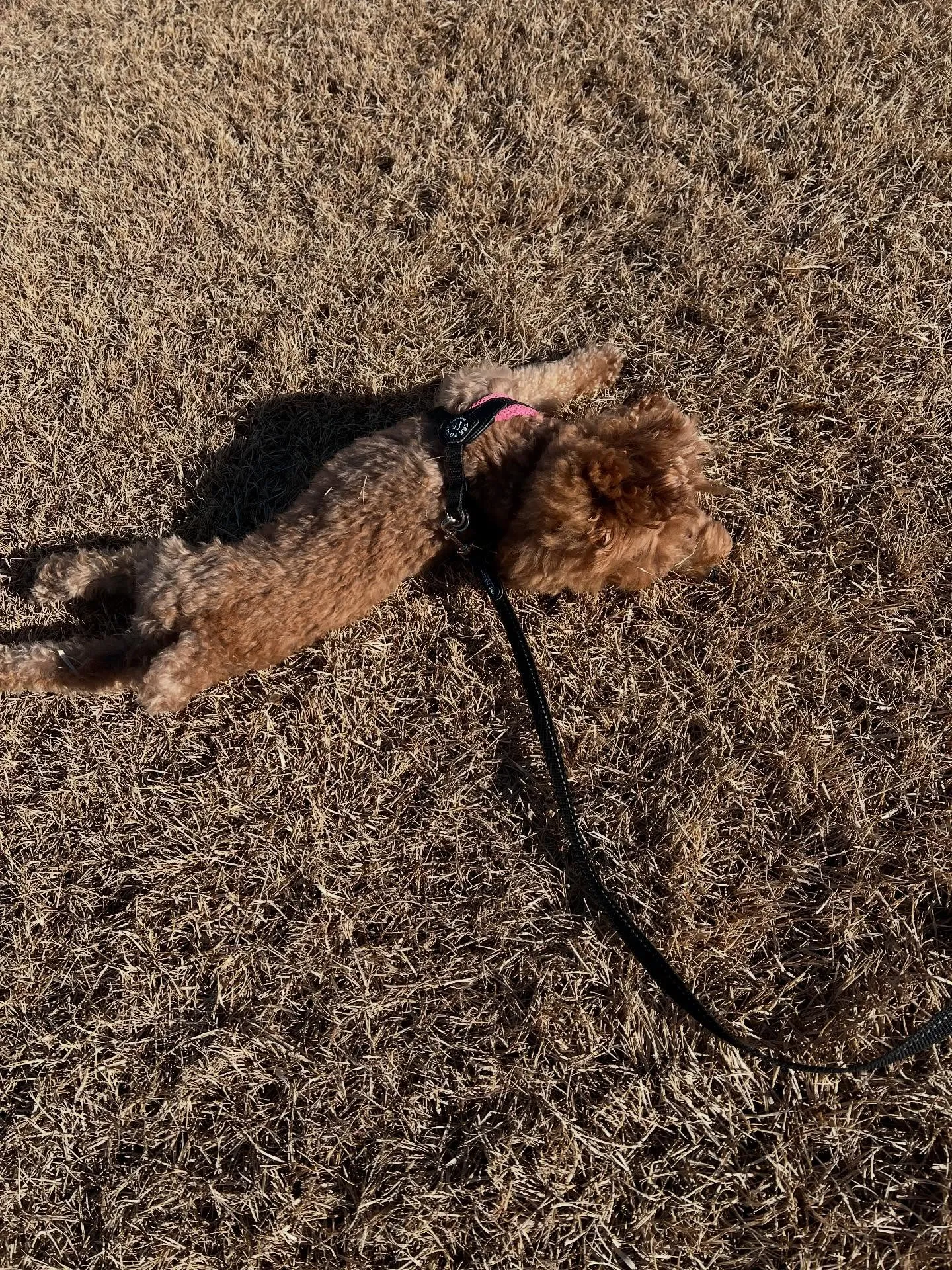 こんにちは、エアコンをお探しの皆さん🌬️