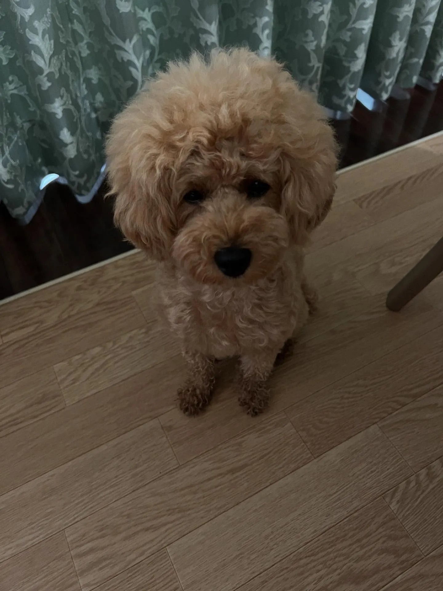 寒い冬も快適に過ごしたい🌬️ そんな時はエアコンのメンテナン...