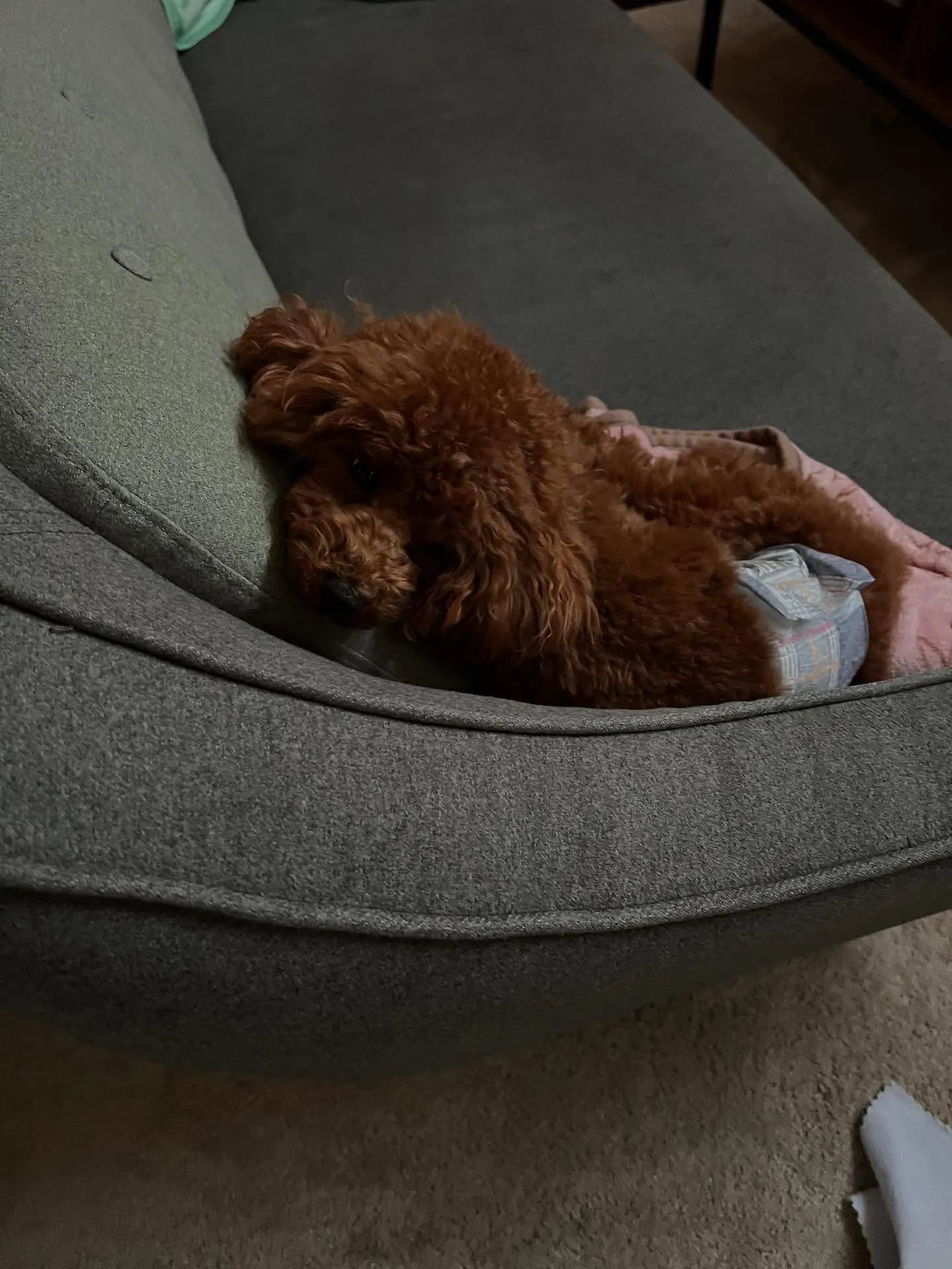 仙台でエアコンの修理から更新工事、電気工事まで安心してお任せ...