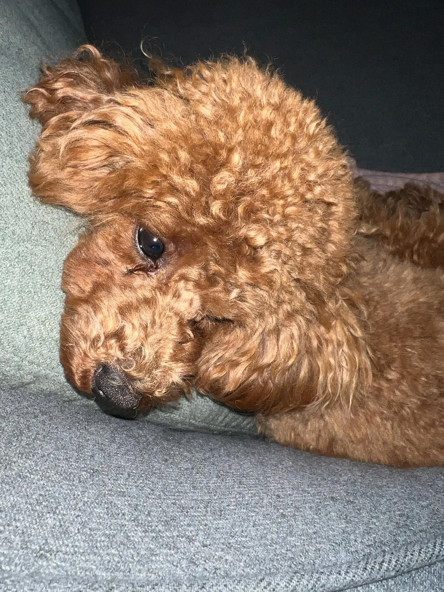 仙台でエアコンの修理から更新工事、電気工事まで安心してお任せ...