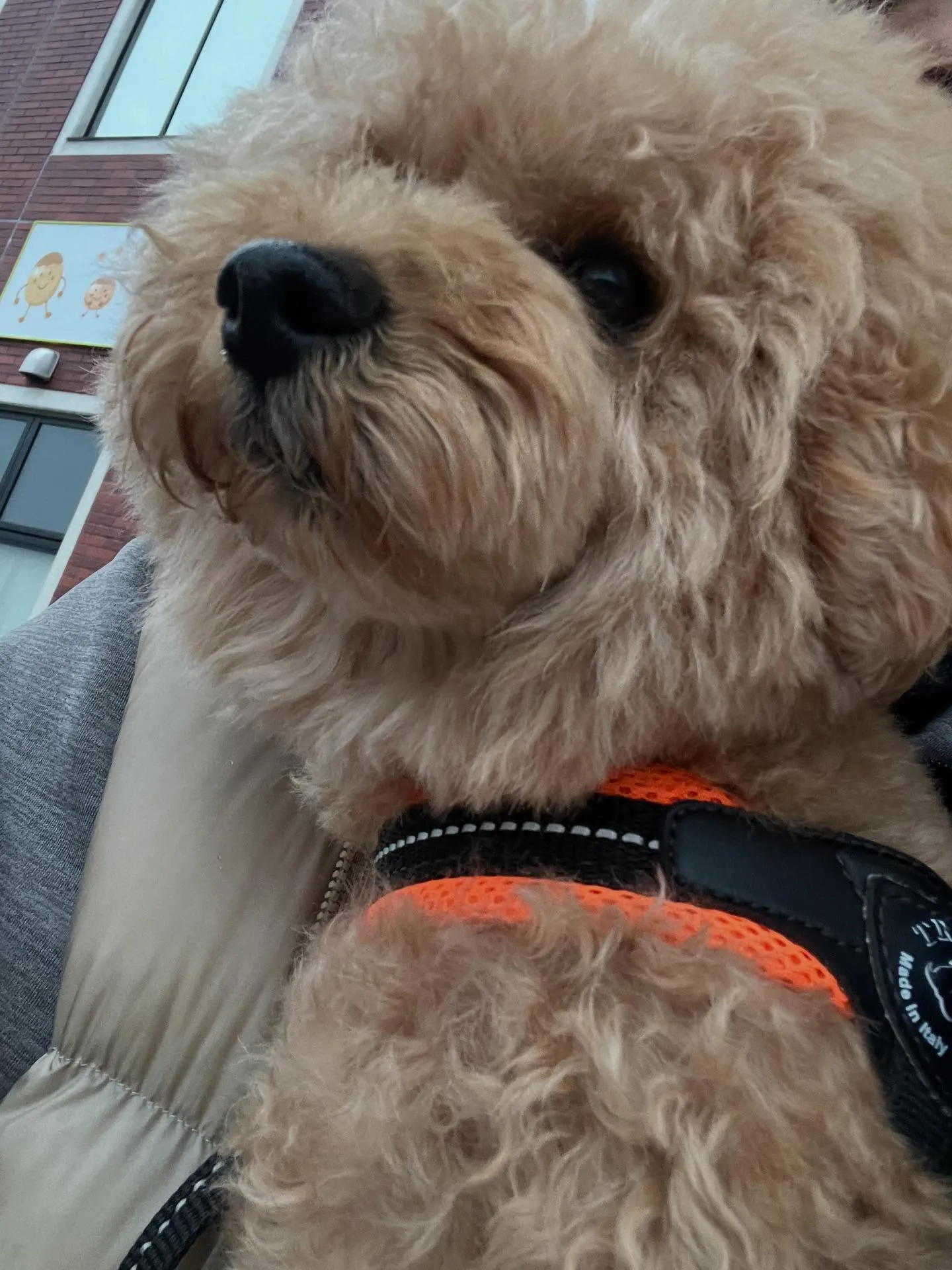 宮城県でエアコン工事や修理、メンテナンスを学ぶチャンスが到来...