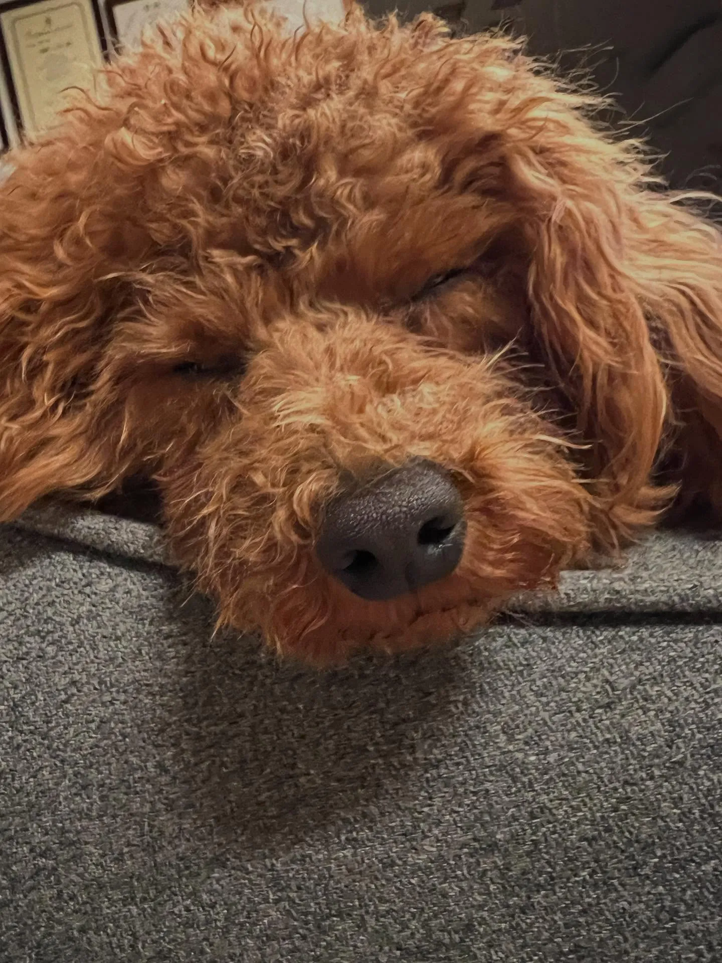 仙台市の冬🌨️、寒いですよね!そんなときに頼れるお助けアイテ...