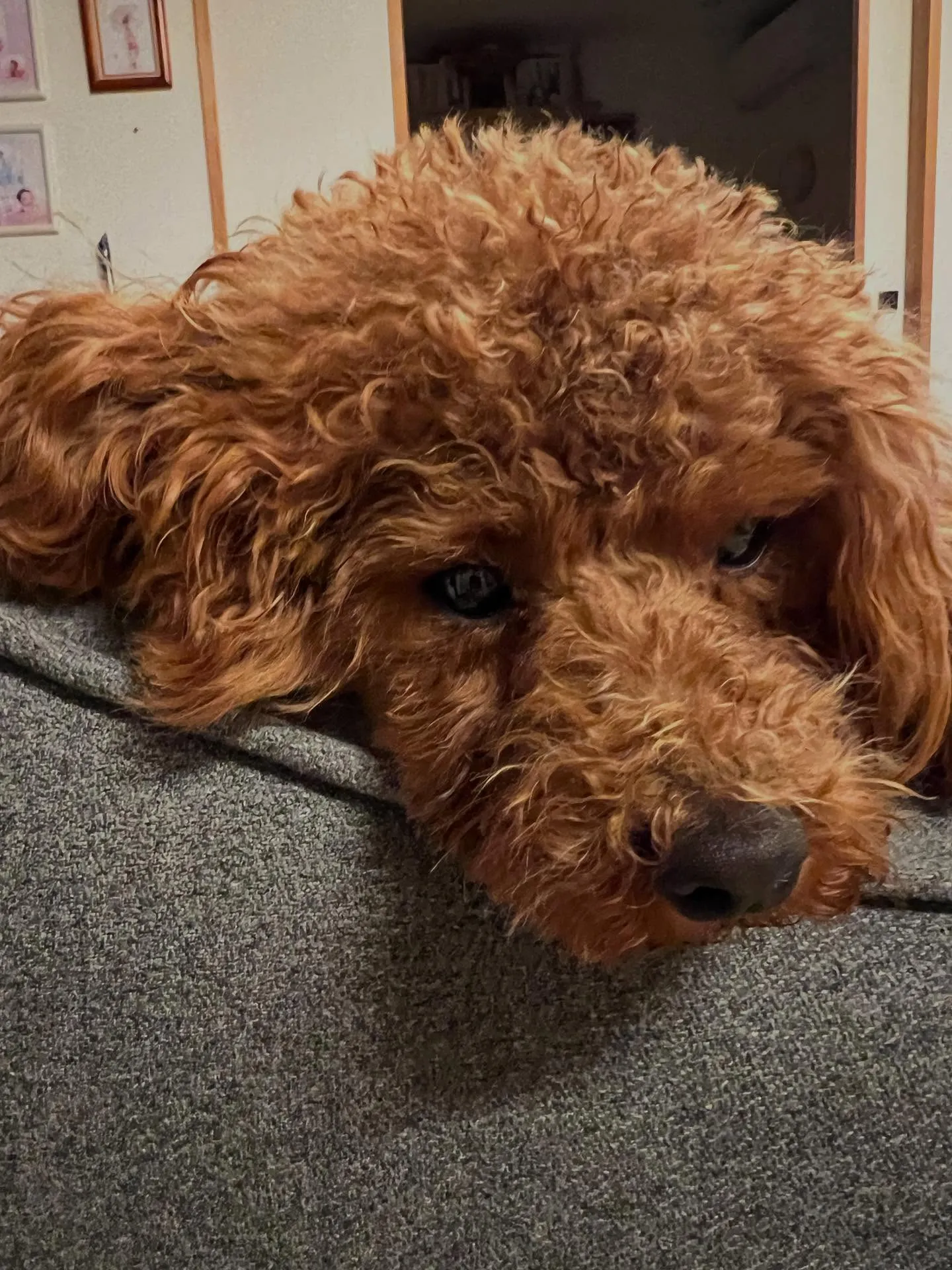 仙台市の冬🌨️、寒いですよね!そんなときに頼れるお助けアイテ...