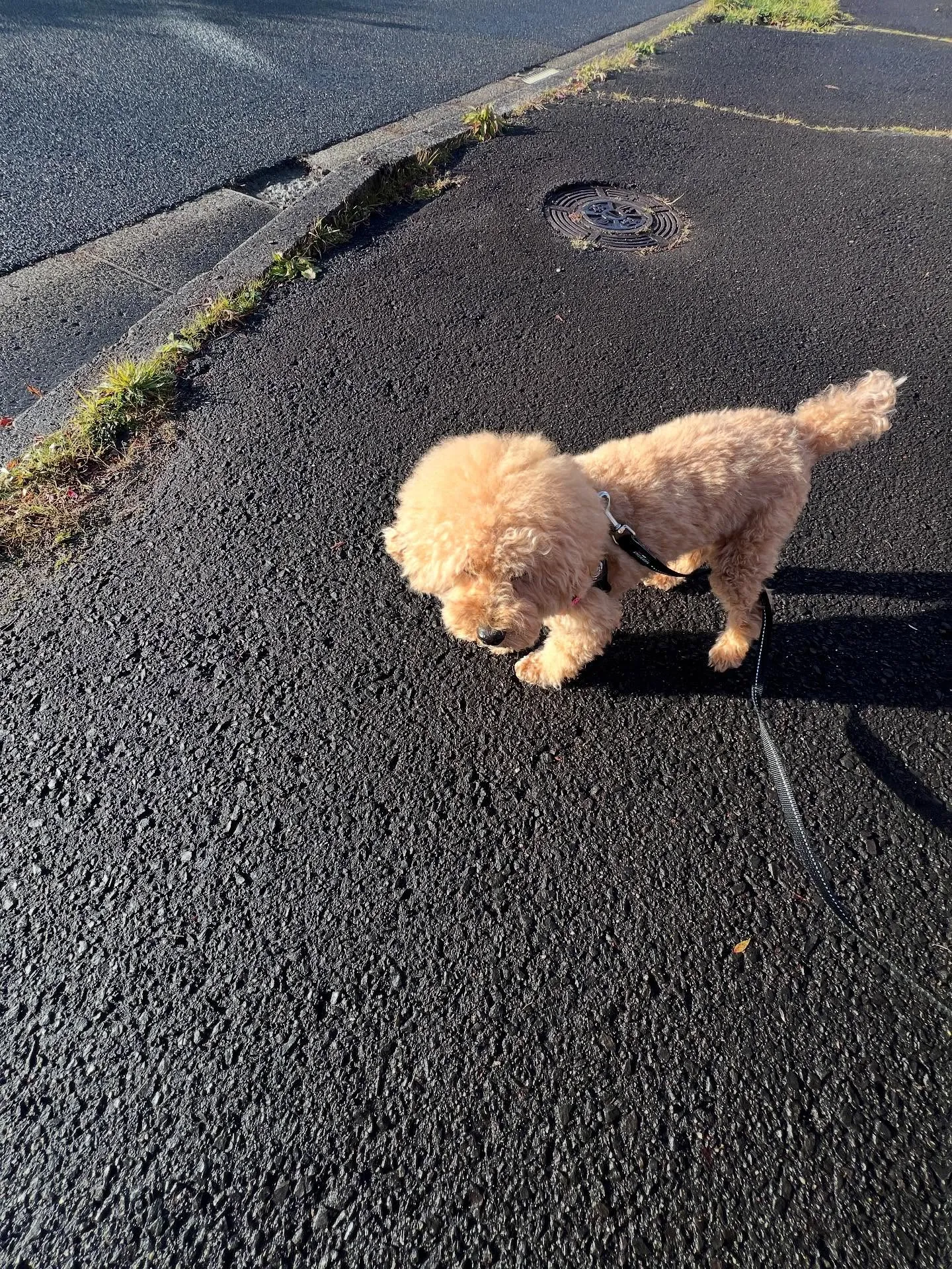 宮城県の皆さん、エアコンのおかげで快適な暖房生活できてますか...