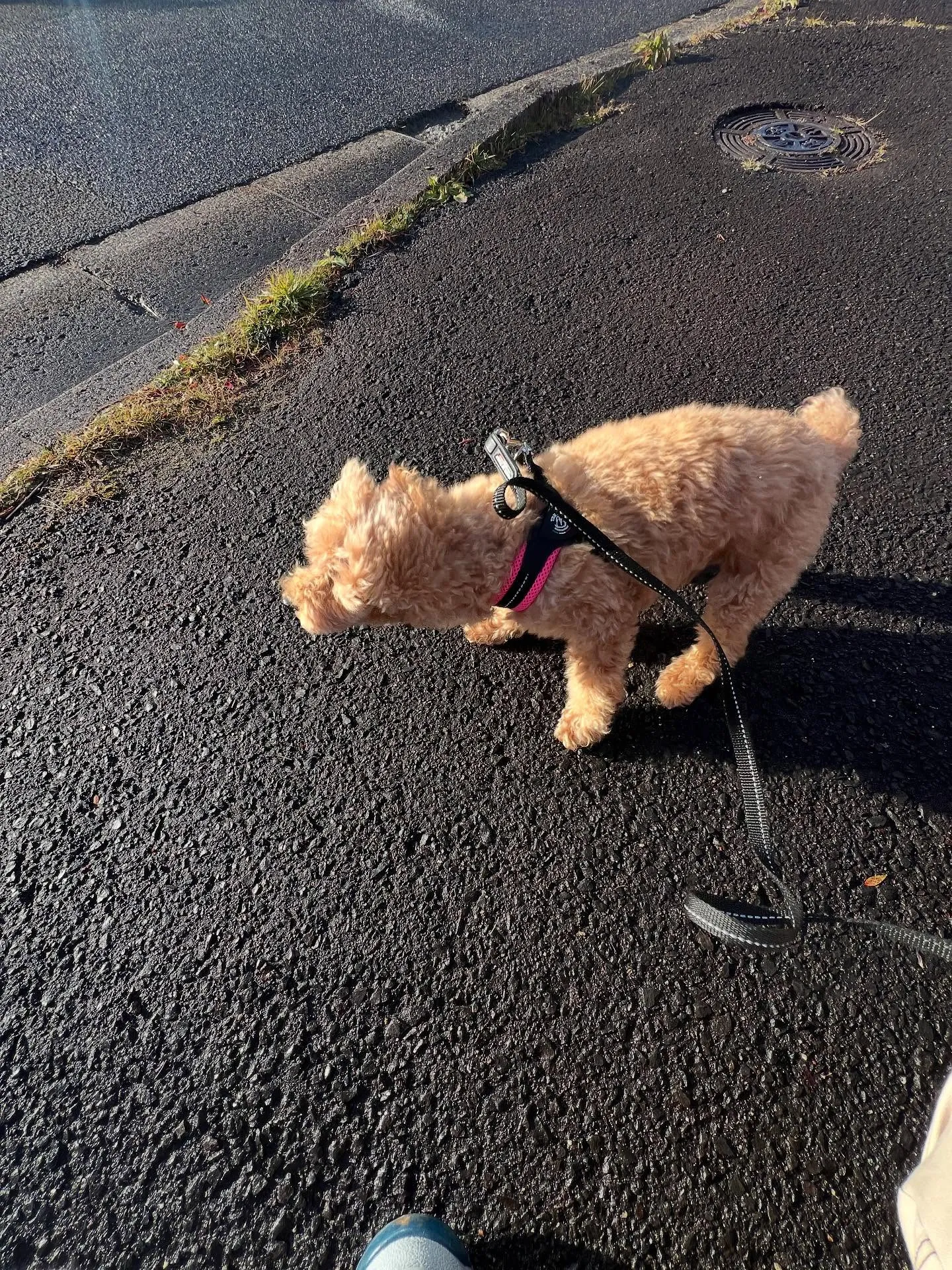宮城県の皆さん、エアコンのおかげで快適な暖房生活できてますか...