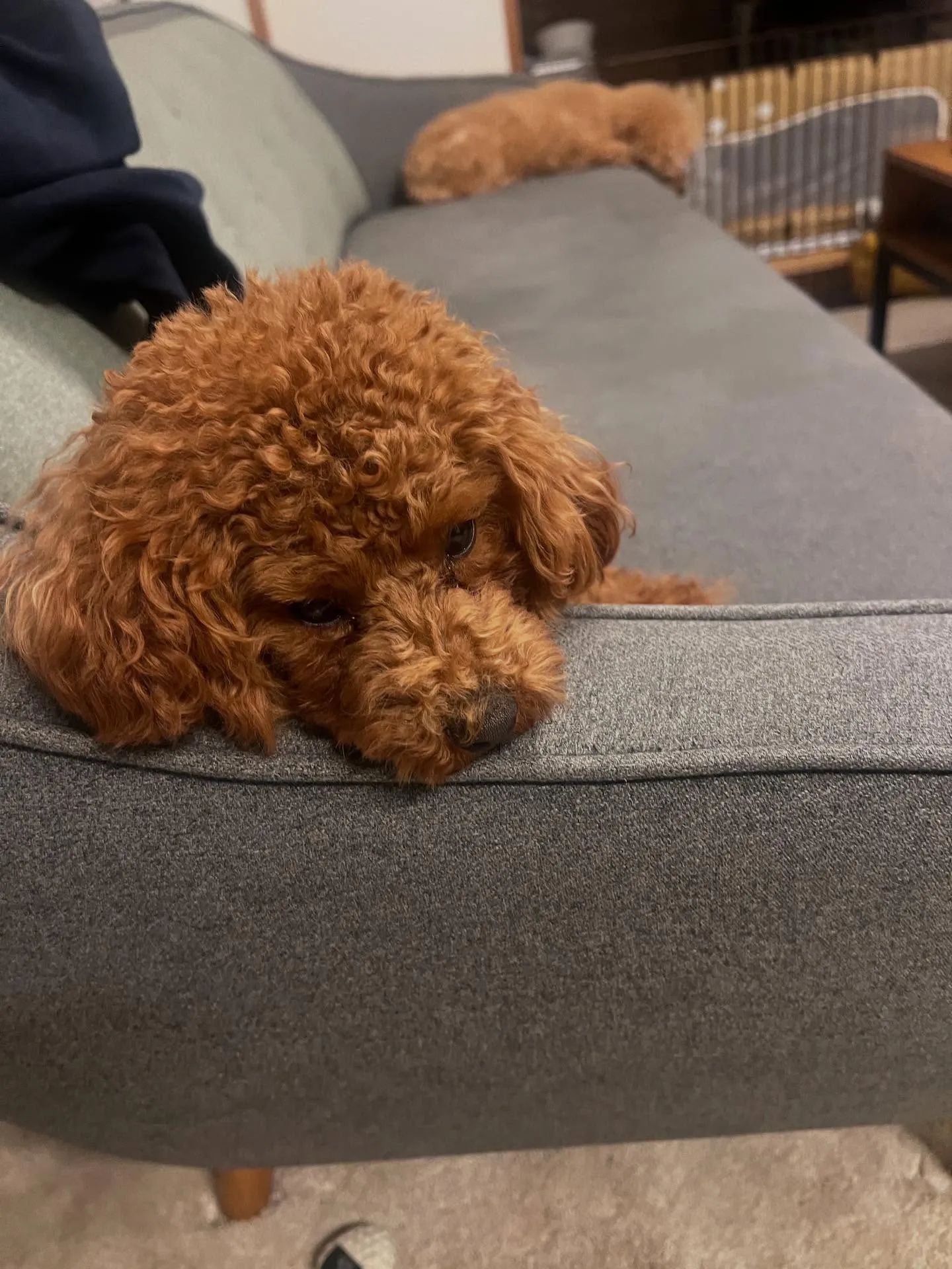 宮城県の皆さん、空調や電気、給排水設備でお困りのことはありま...