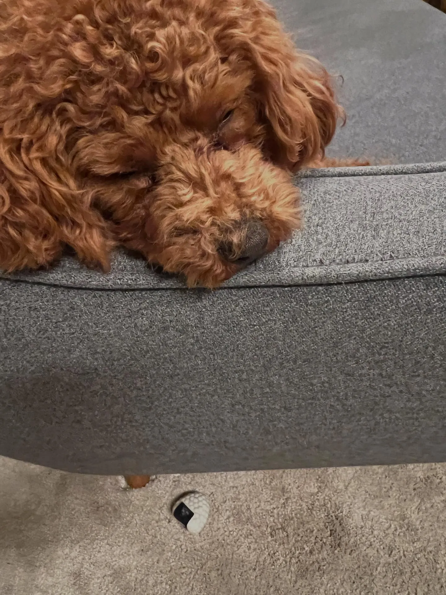 宮城県の皆さん、空調や電気、給排水設備でお困りのことはありま...