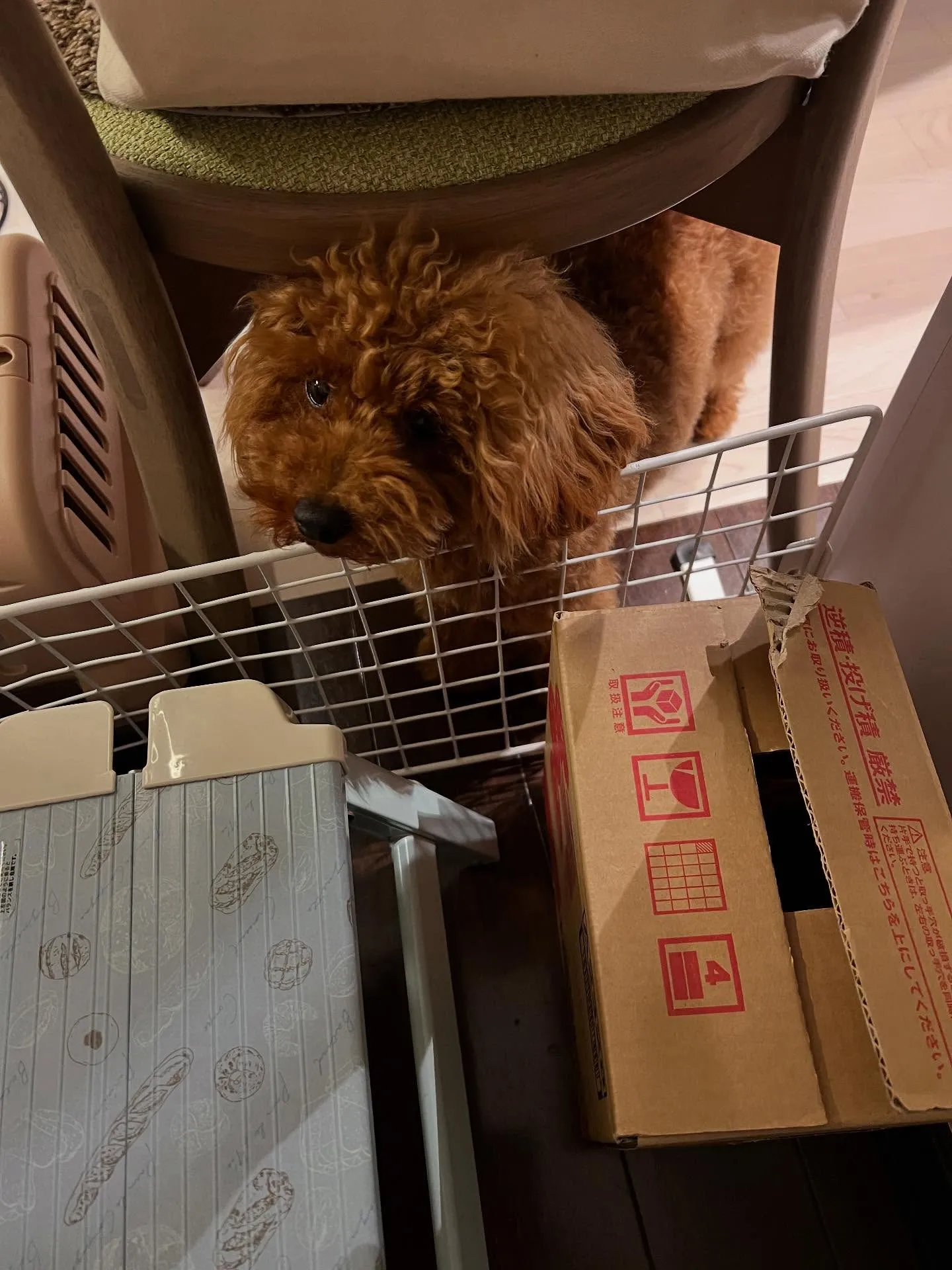 仙台で設備のお悩み、何でも相談所が受付中です💬✨! 設備機器...