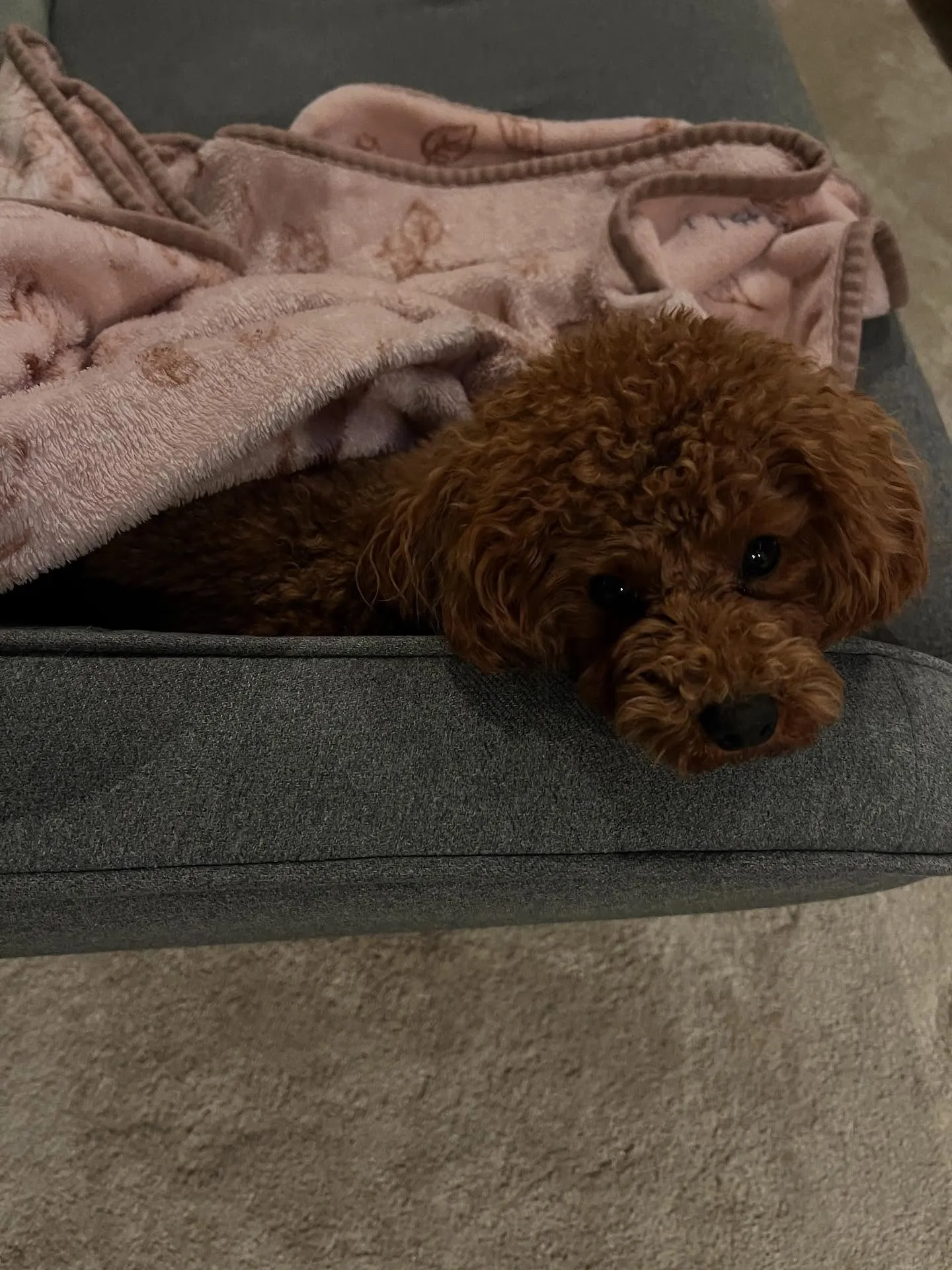 仙台で設備のお悩み、何でも相談所が受付中です💬✨! 設備機器...