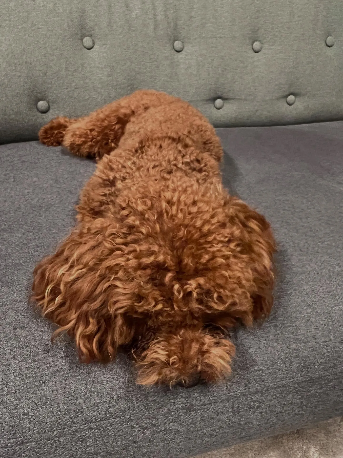 こんにちは、仙台の皆さん！🏯✨エアコン、調子いかがですか？年...