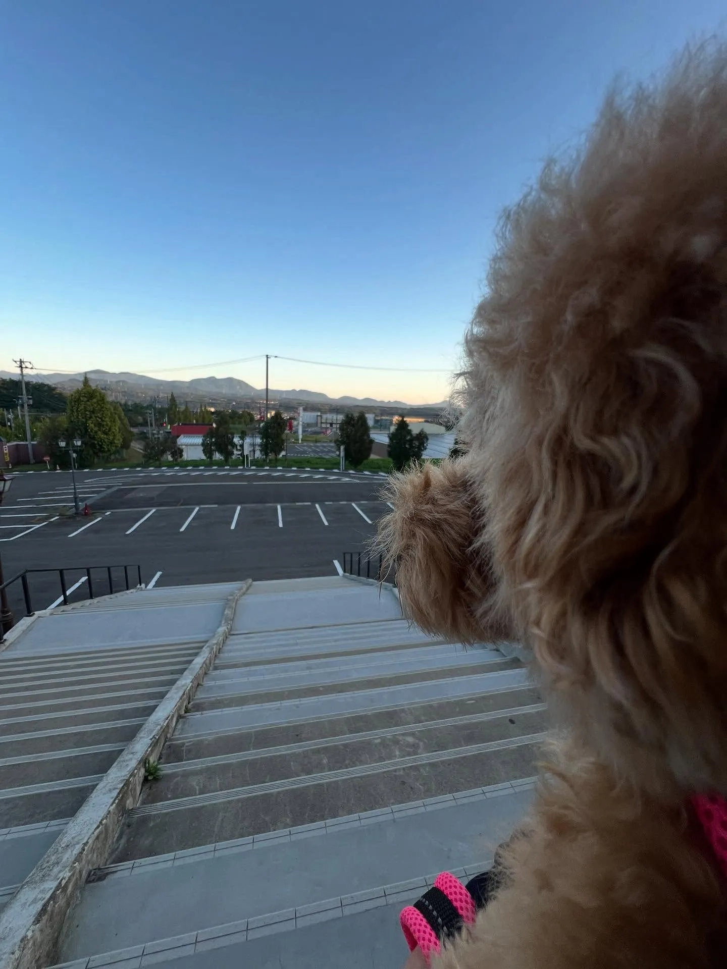 こんにちは、仙台の皆さん！🏯✨エアコン、調子いかがですか？年...