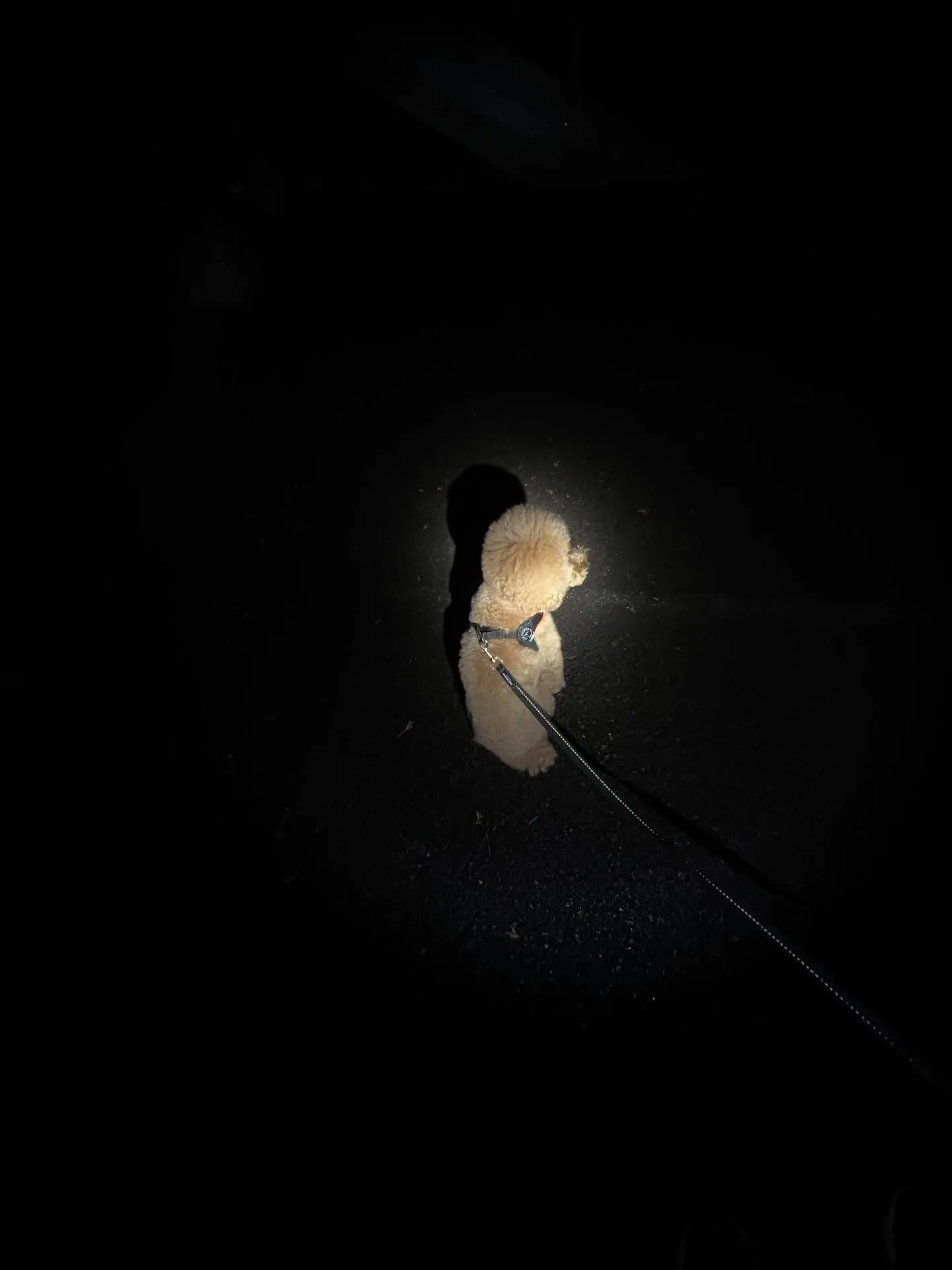 仙台でワクワクした人生を送る準備はできていますか?🌟 平凡な...