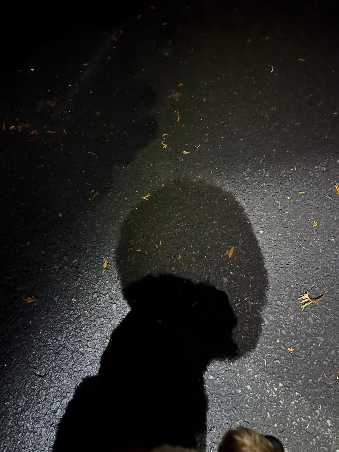 仙台でワクワクした人生を送る準備はできていますか？🌟 平凡な...