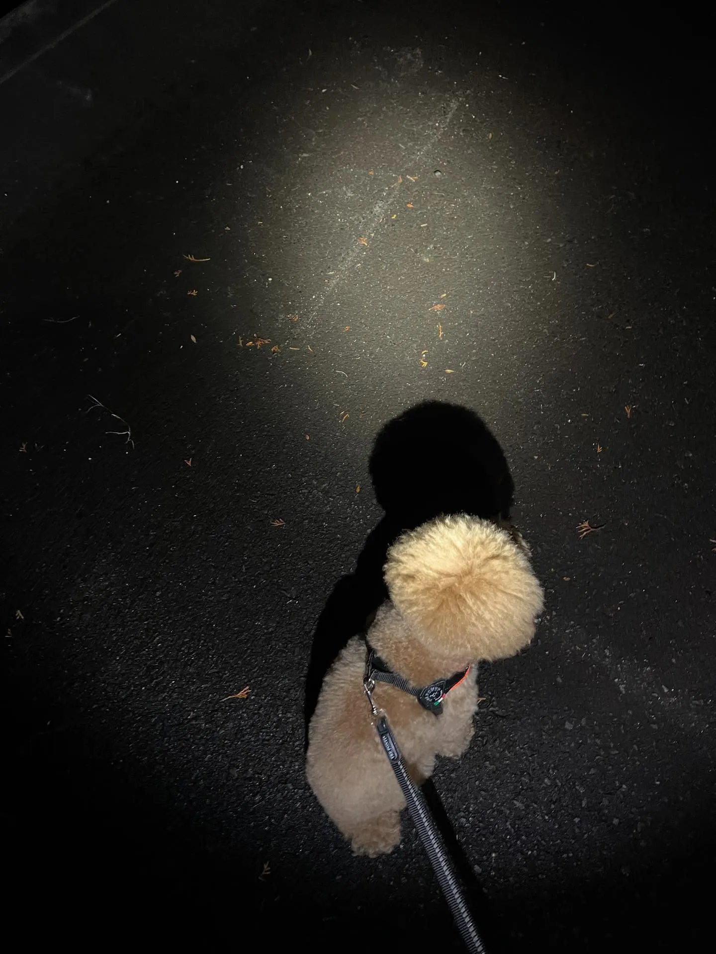 仙台でワクワクした人生を送る準備はできていますか？🌟 平凡な...