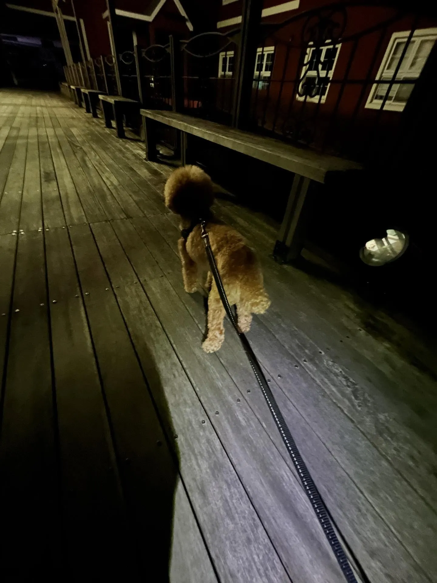 仙台でワクワクした人生を送る準備はできていますか？🌟 平凡な...