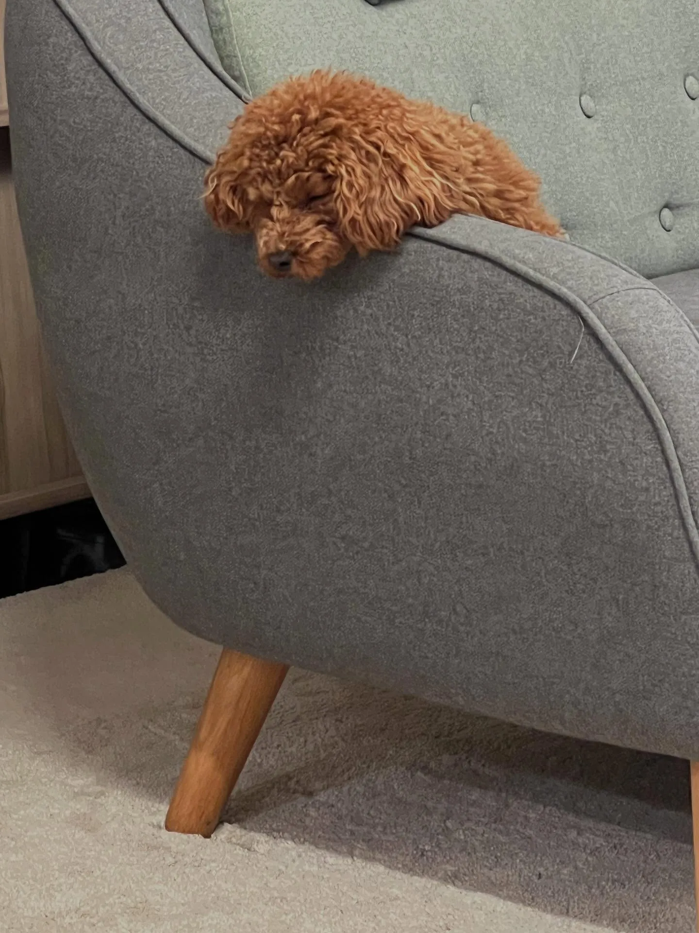 仙台でワクワクした人生を送る準備はできていますか？🌟 平凡な...