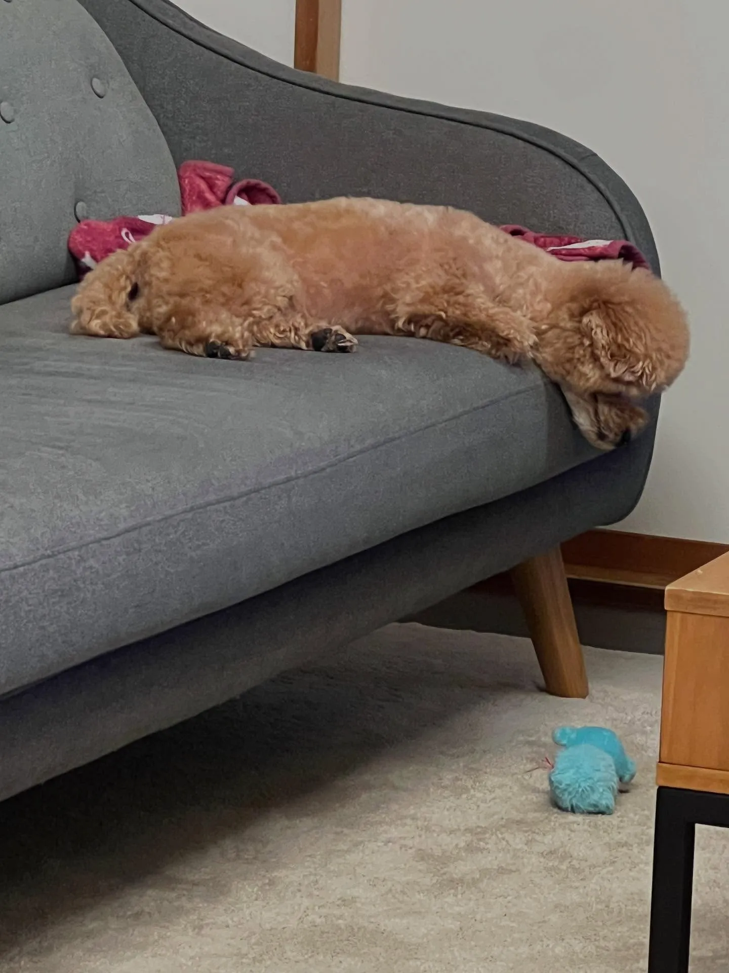 仙台でワクワクした人生を送る準備はできていますか？🌟 平凡な...