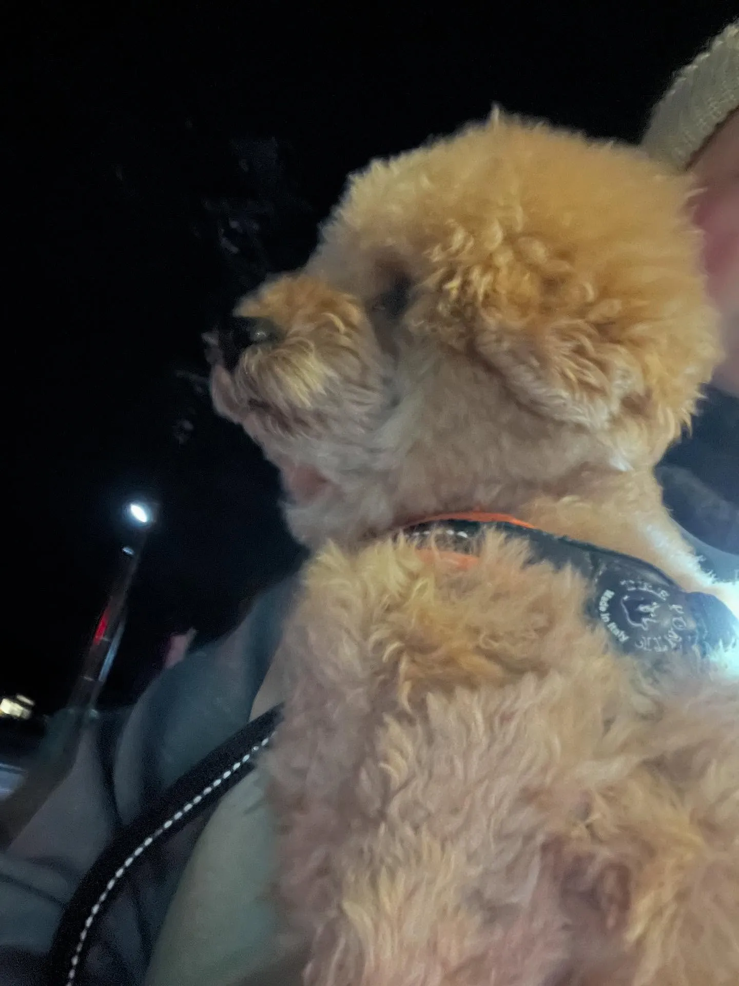 仙台市の皆さん、年末年始はもうすぐですね!今年もあとわずかで...