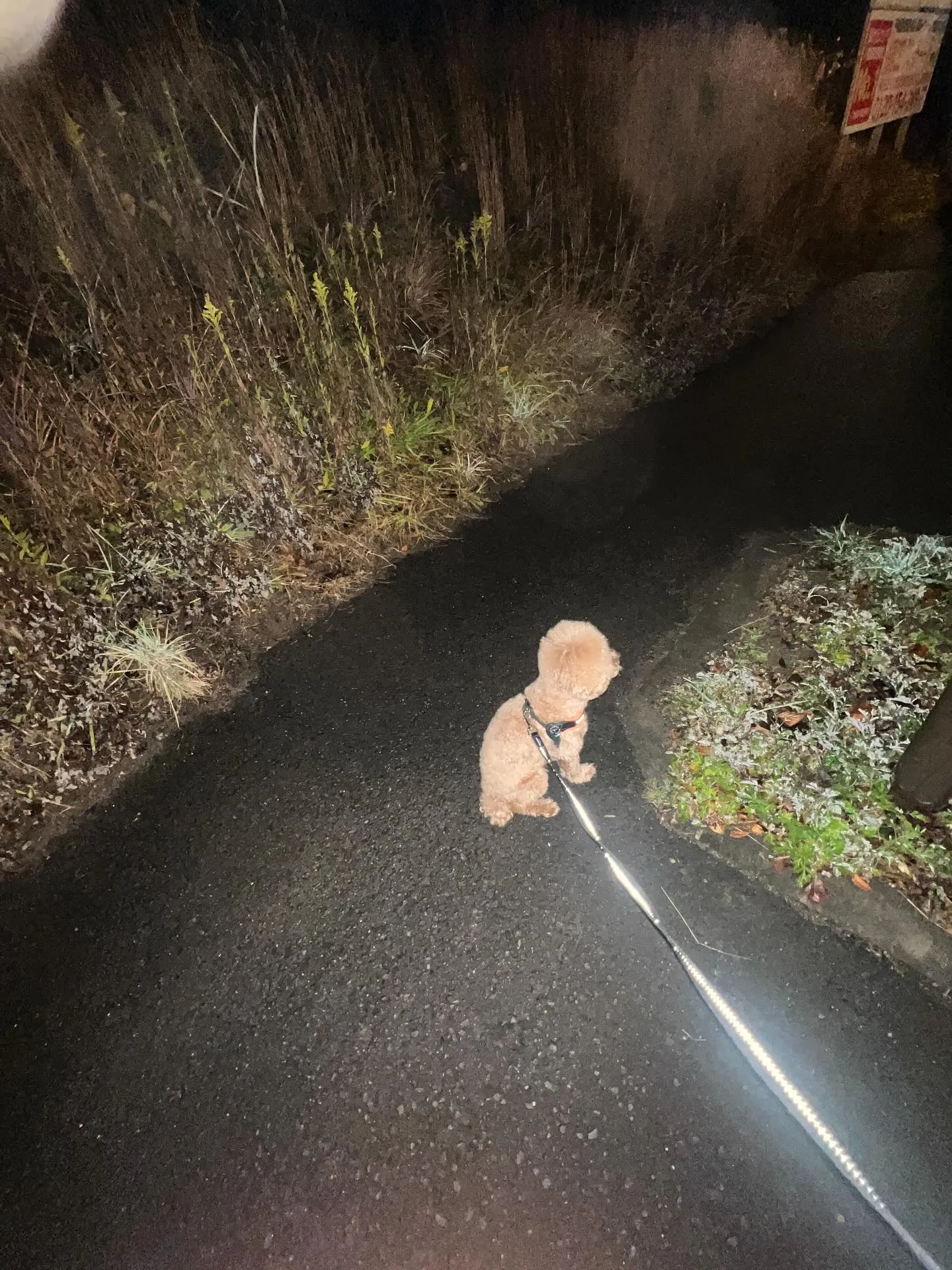 仙台の空調職人さん、頑張ってますよ！💪20代から60代まで、...