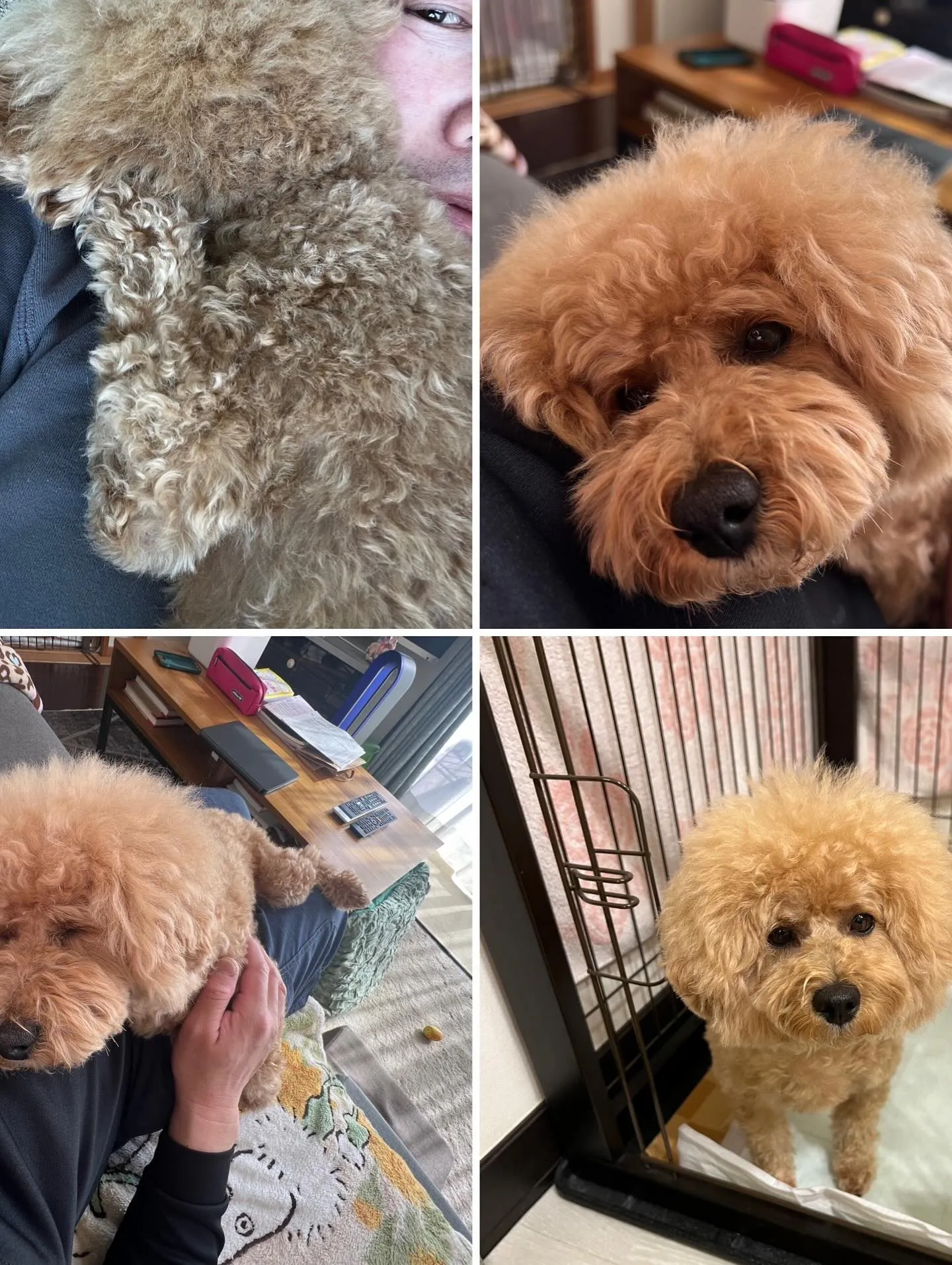 仙台でエアコンのことで困ったら、「仙台エアコン何でも相談所」...