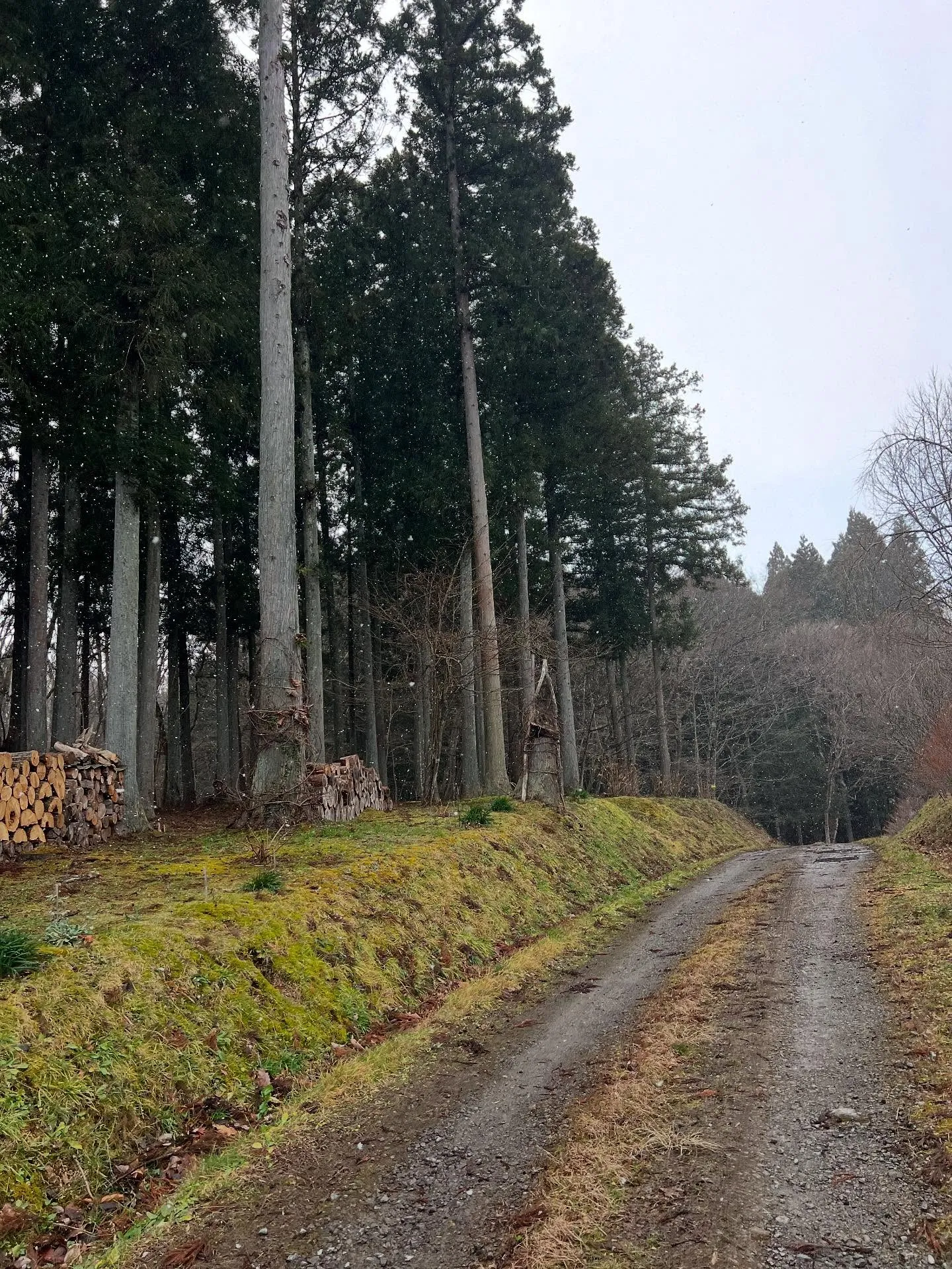 宮城県仙台市のみなさん！エアコン暖房の準備はできていますか？...