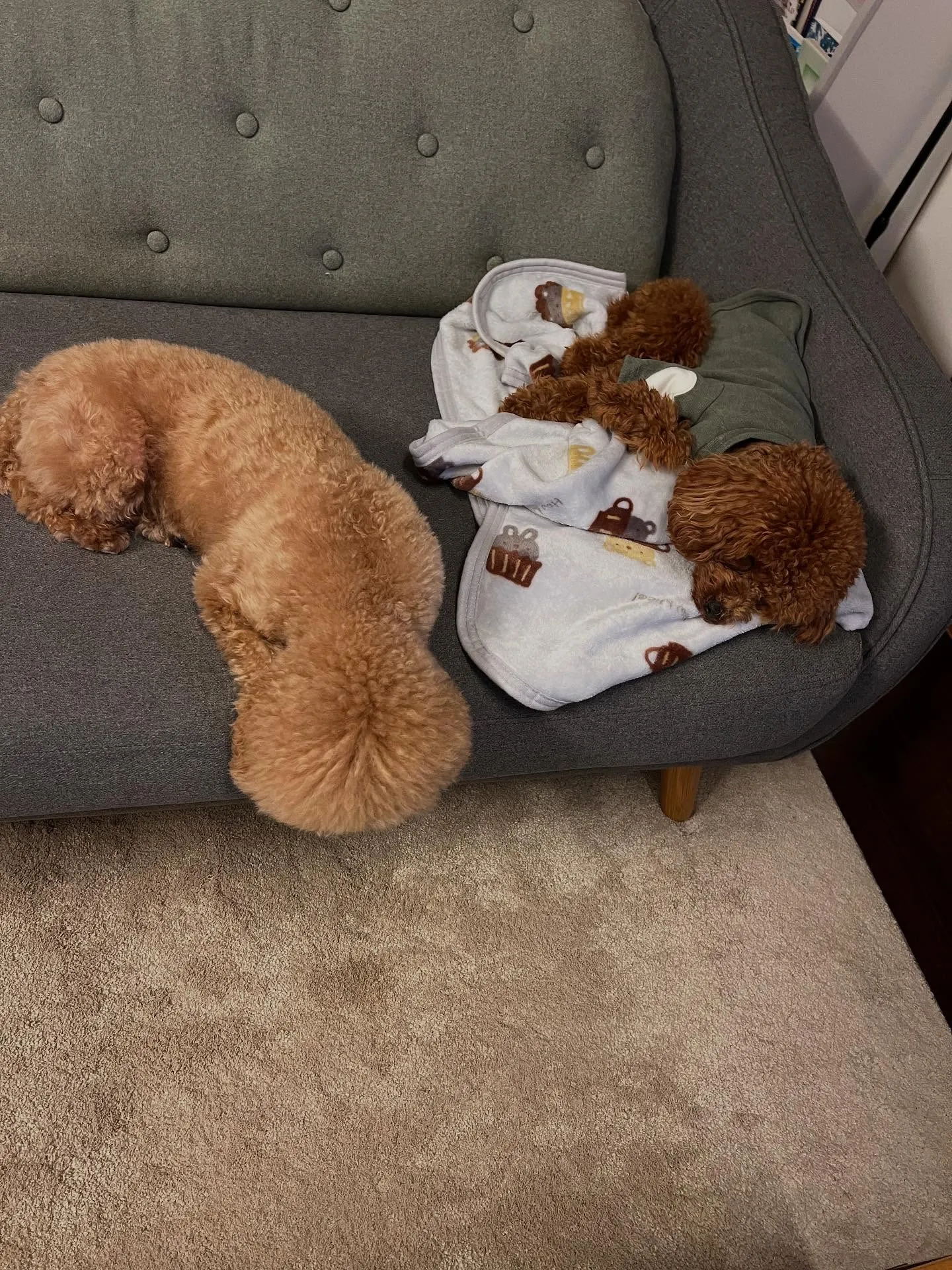 宮城県仙台市のみなさん！エアコン暖房の準備はできていますか？...