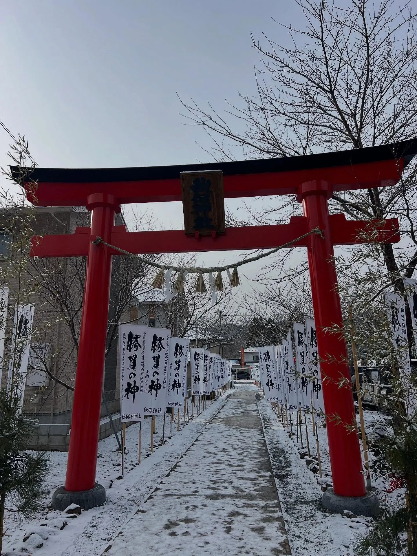 さあ、新年が明けましたね🎉今年もガンガン行きましょう！特に私...