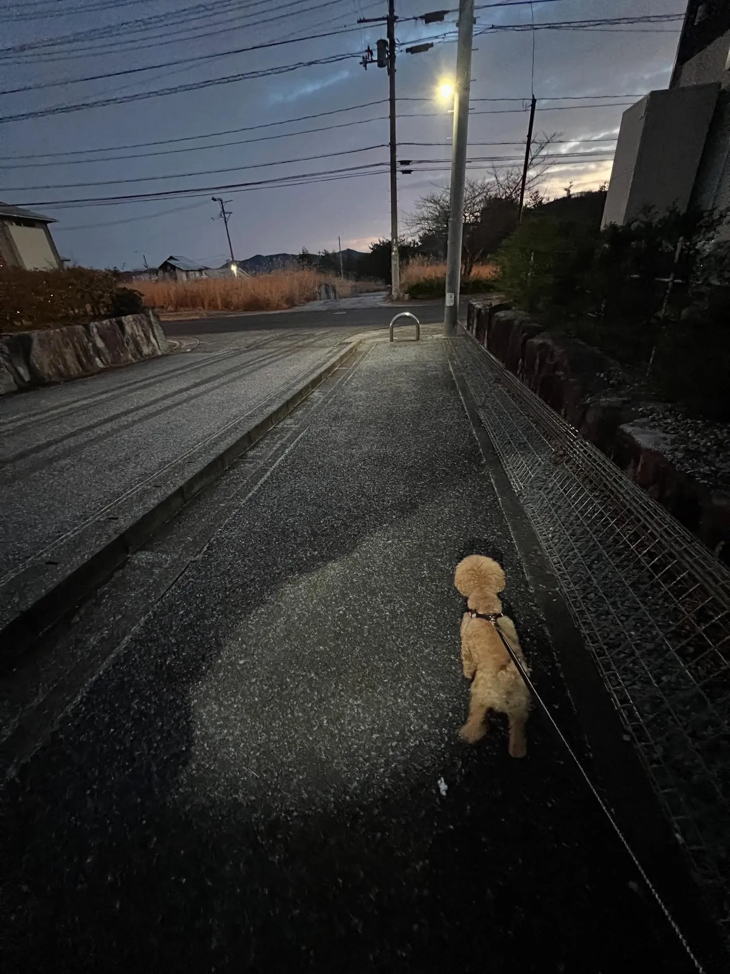 さあ、新年が明けましたね🎉今年もガンガン行きましょう！特に私...