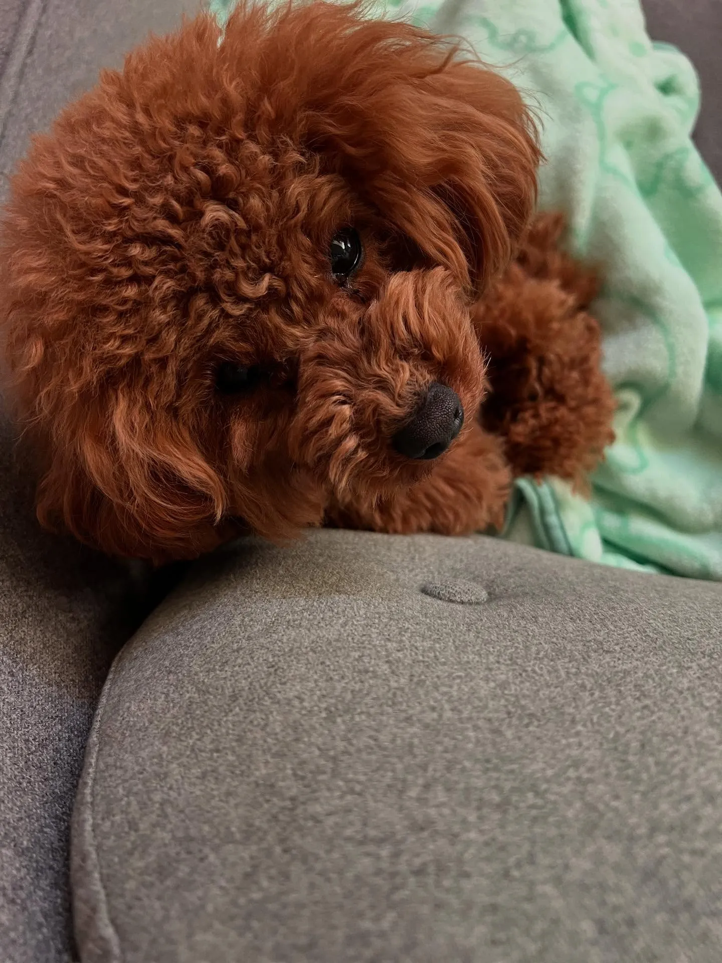 宮城県仙台市を拠点に、関東や東北6県に多岐にわたるサービスを...