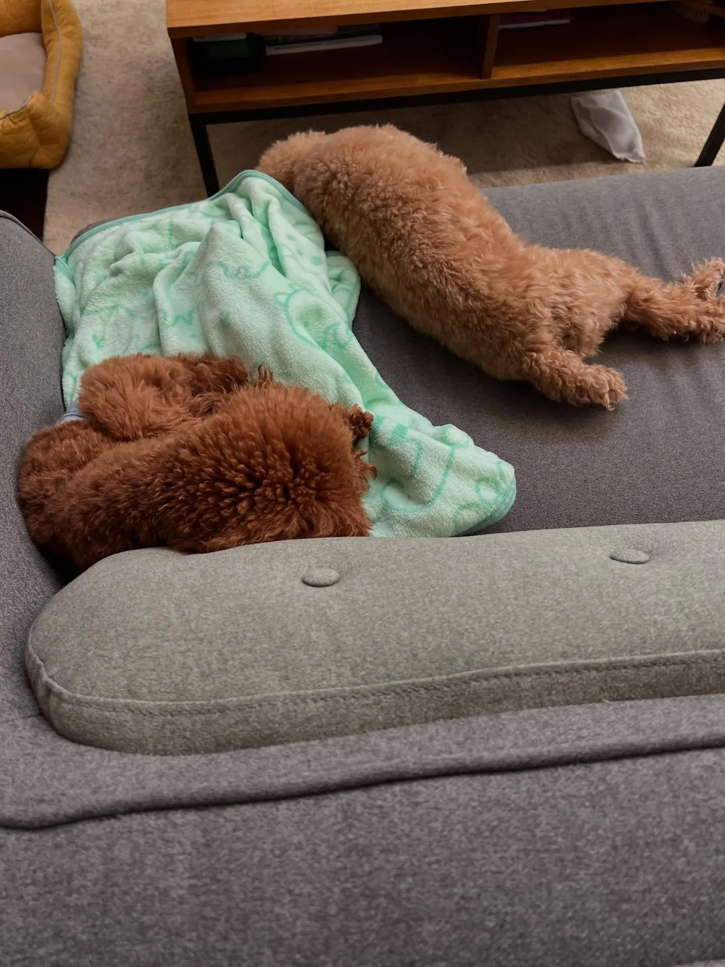 宮城県仙台市を拠点に、関東や東北6県に多岐にわたるサービスを...