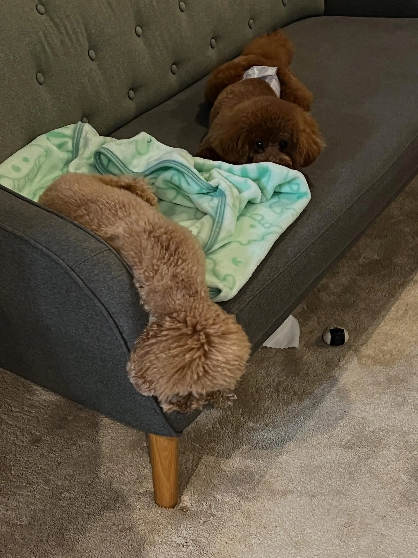 仙台のエアコンや設備の専門家といえば、未来を築く「細野塾」の...