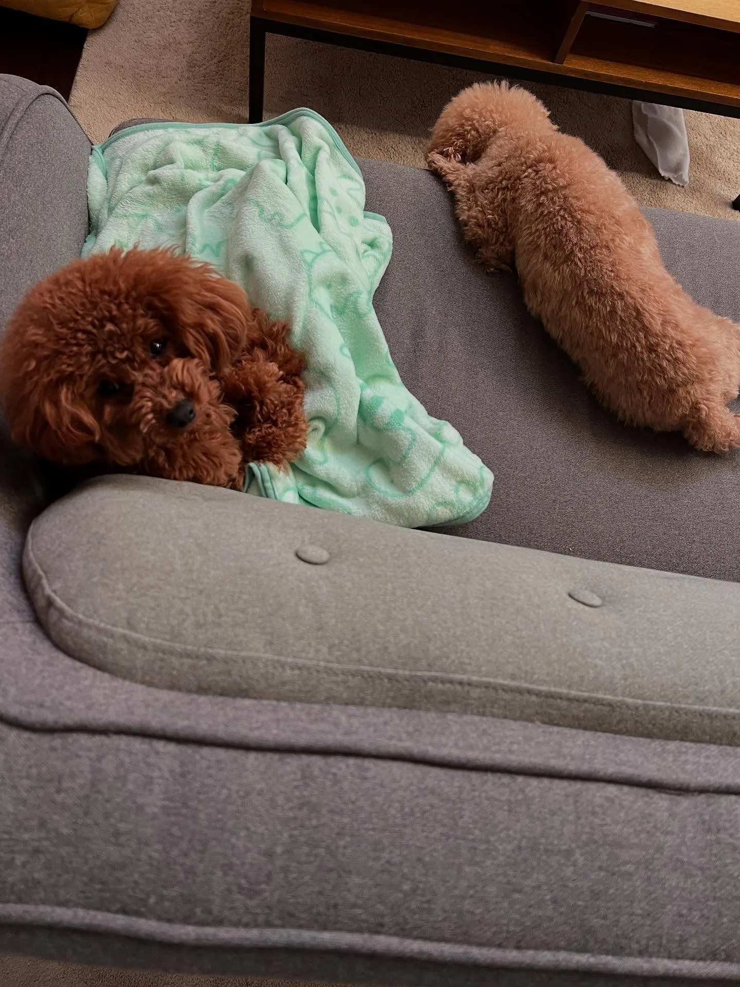 仙台でエアコンをお探しですか?細野工業があなたのエアコンサポ...