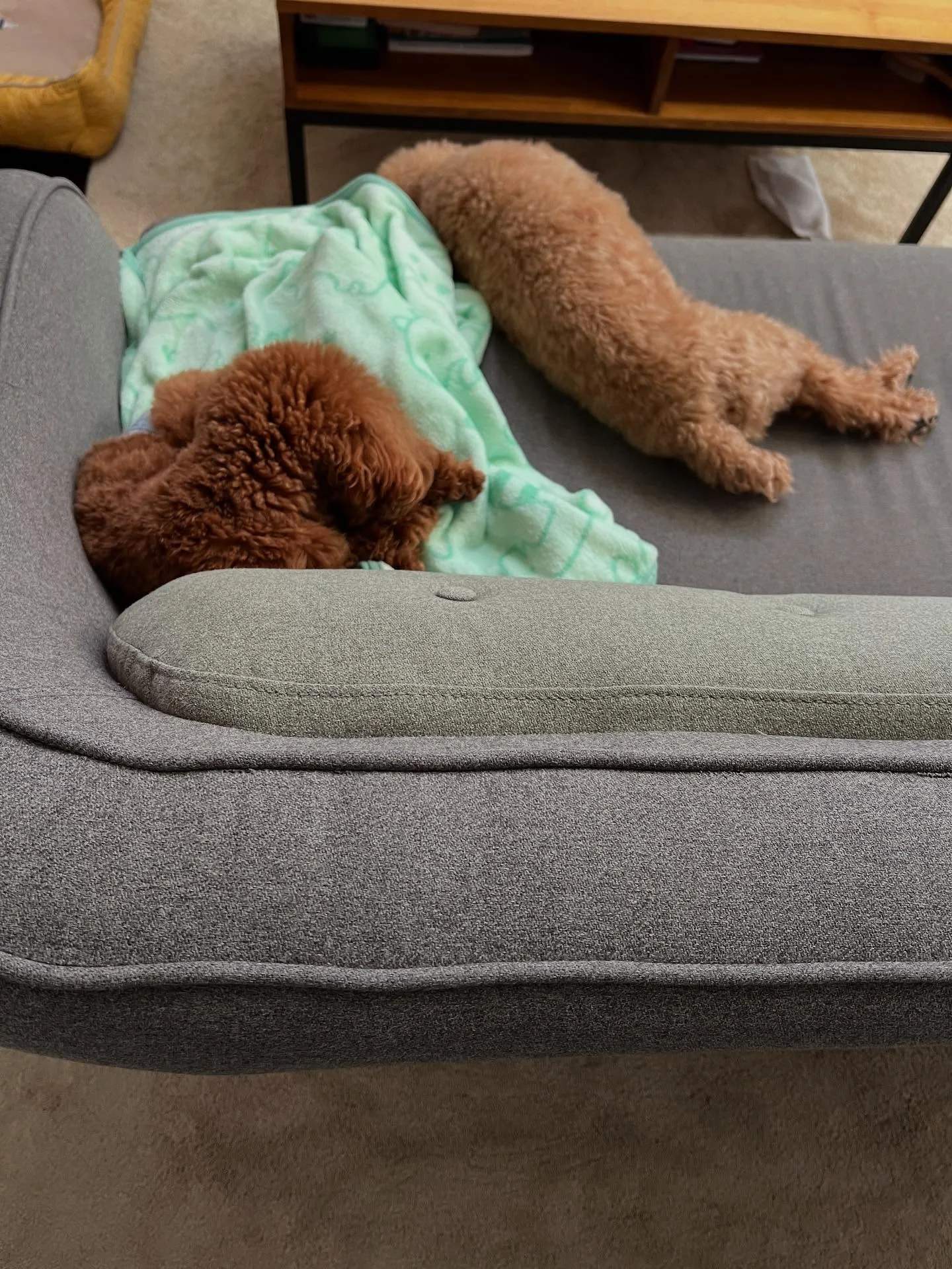 仙台でエアコンをお探しですか?細野工業があなたのエアコンサポ...