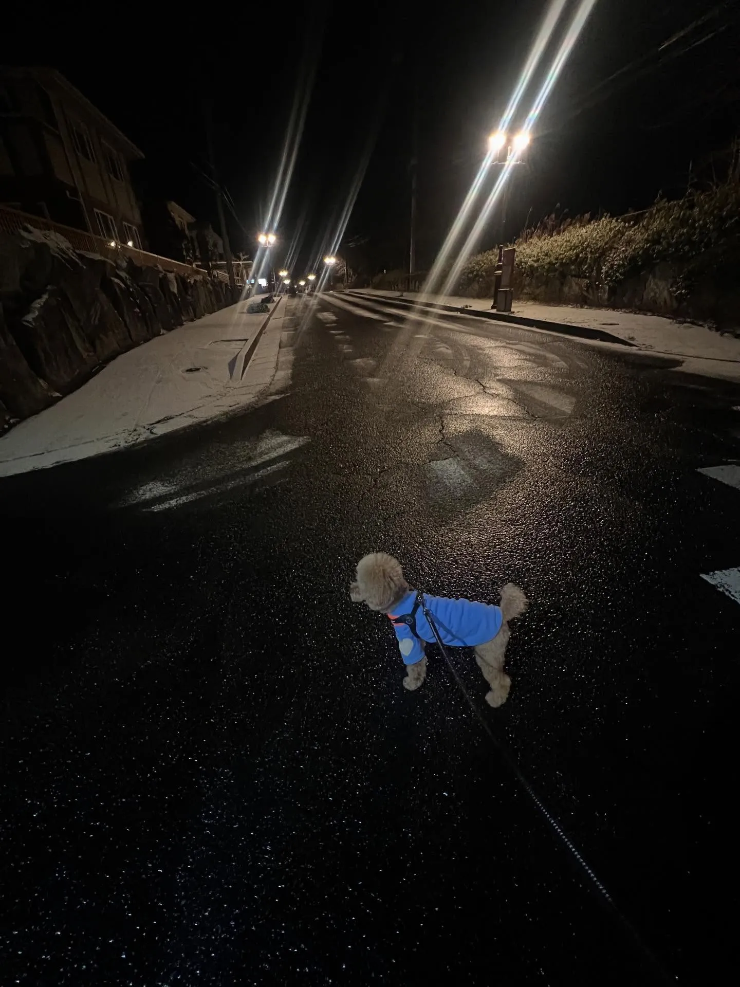 こんにちは仙台のみなさん!🌟寒い日が続いてますね。