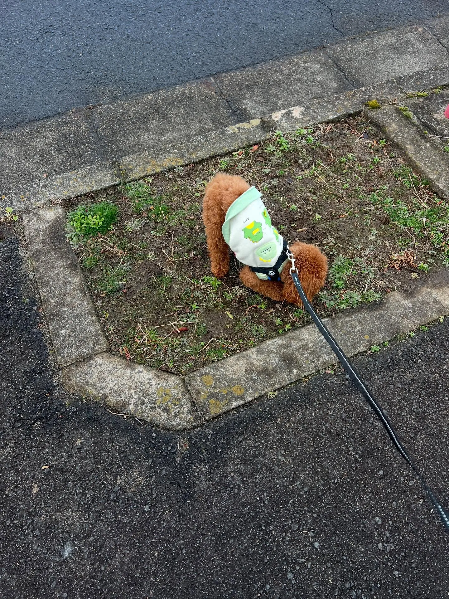 東北6県のエアコンのことなら、ぜ～んぶお任せください！🌟業務...