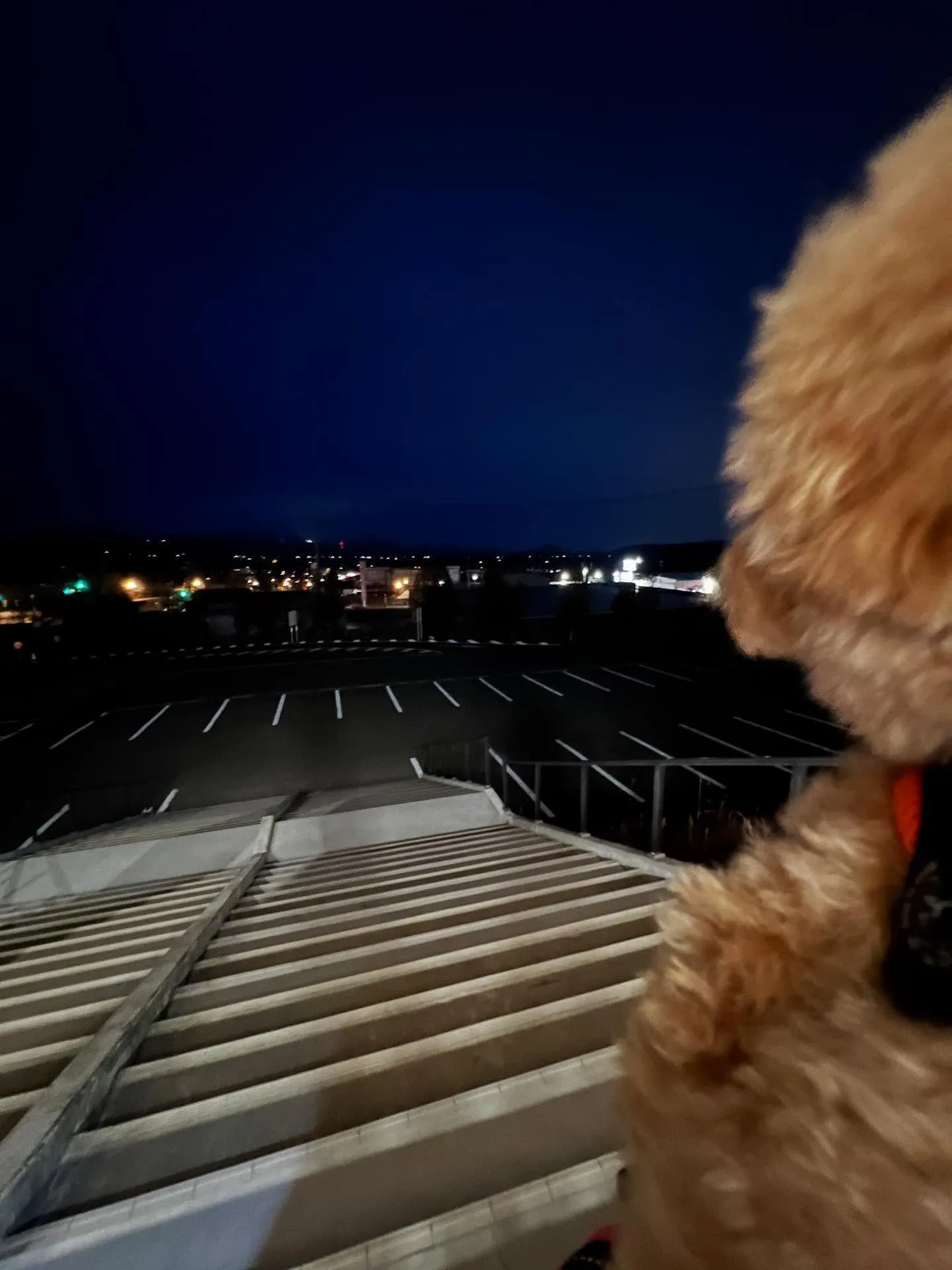 宮城県エアコン何でも相談所へようこそ！🌟 私たちは、エアコン...