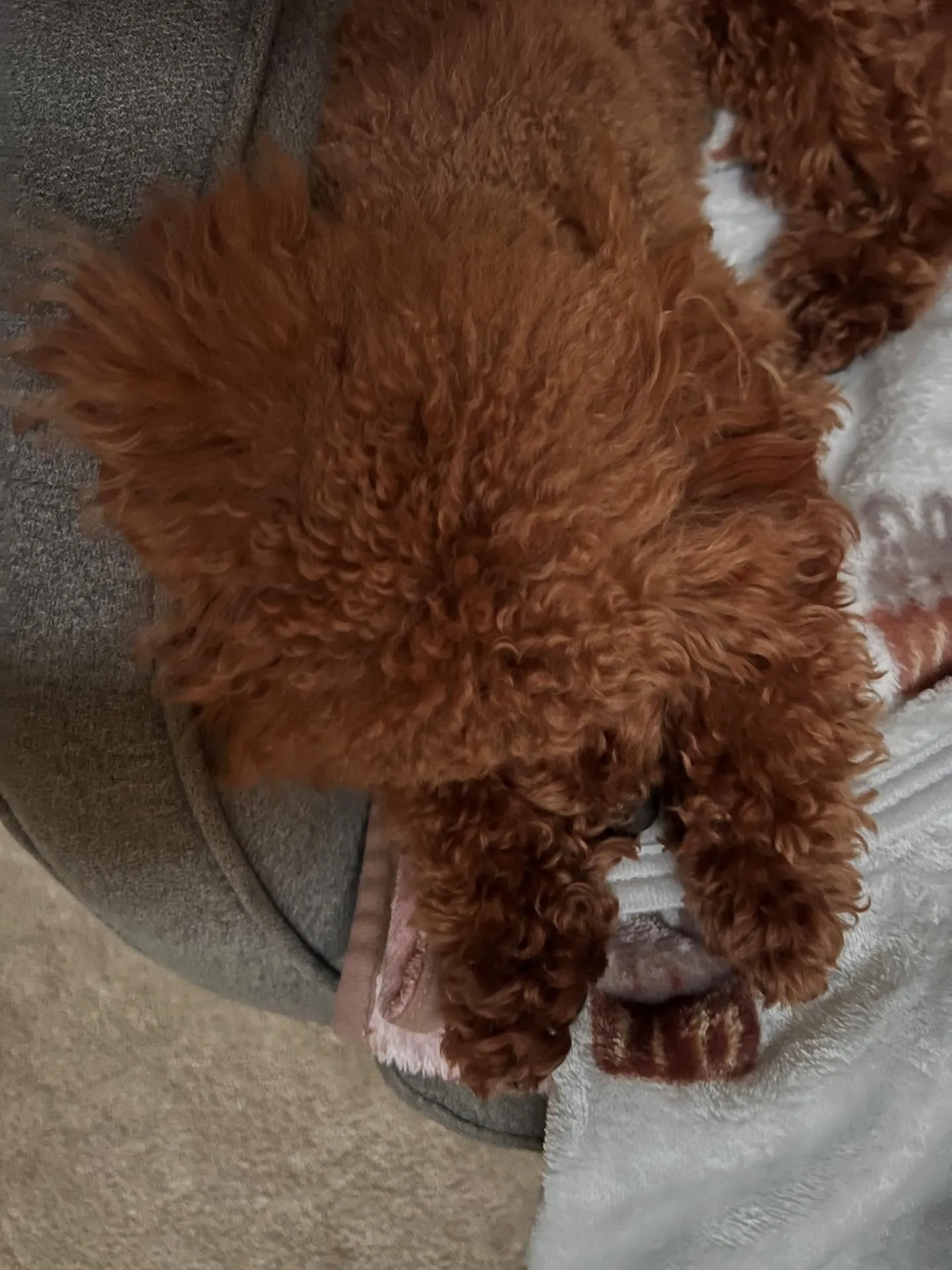 宮城県エアコン何でも相談所へようこそ！🌟 私たちは、エアコン...