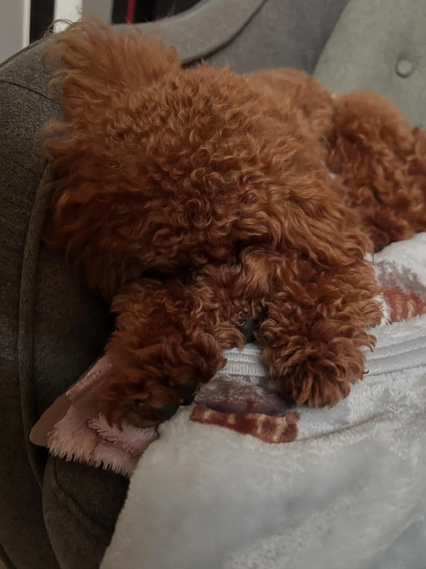 宮城県エアコン何でも相談所へようこそ！🌟 私たちは、エアコン...