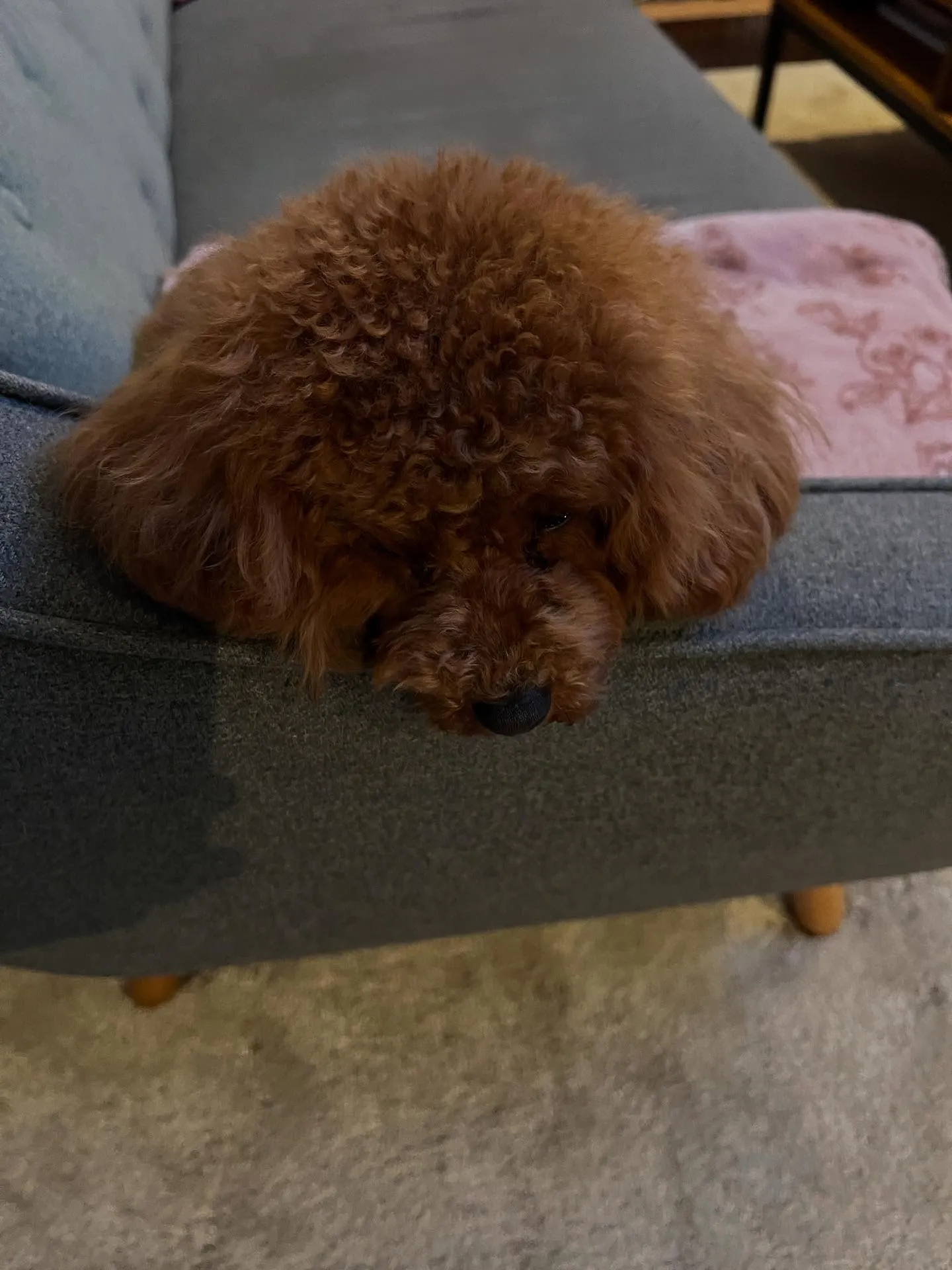 こんにちは！細野塾の仙台職人塾です✨職人の世界に飛び込んで、...