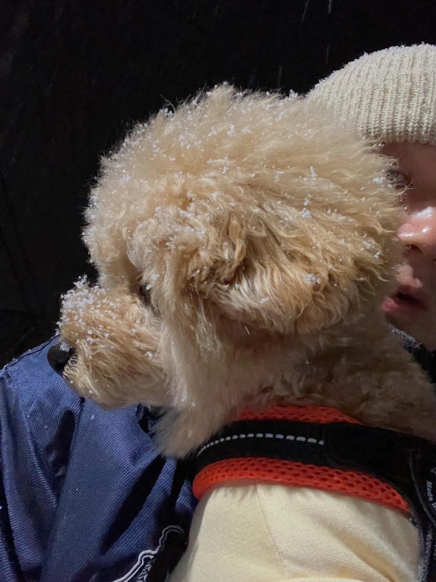 宮城県の皆さん、エアコンのスキルを活かして副業を始めてみませ...