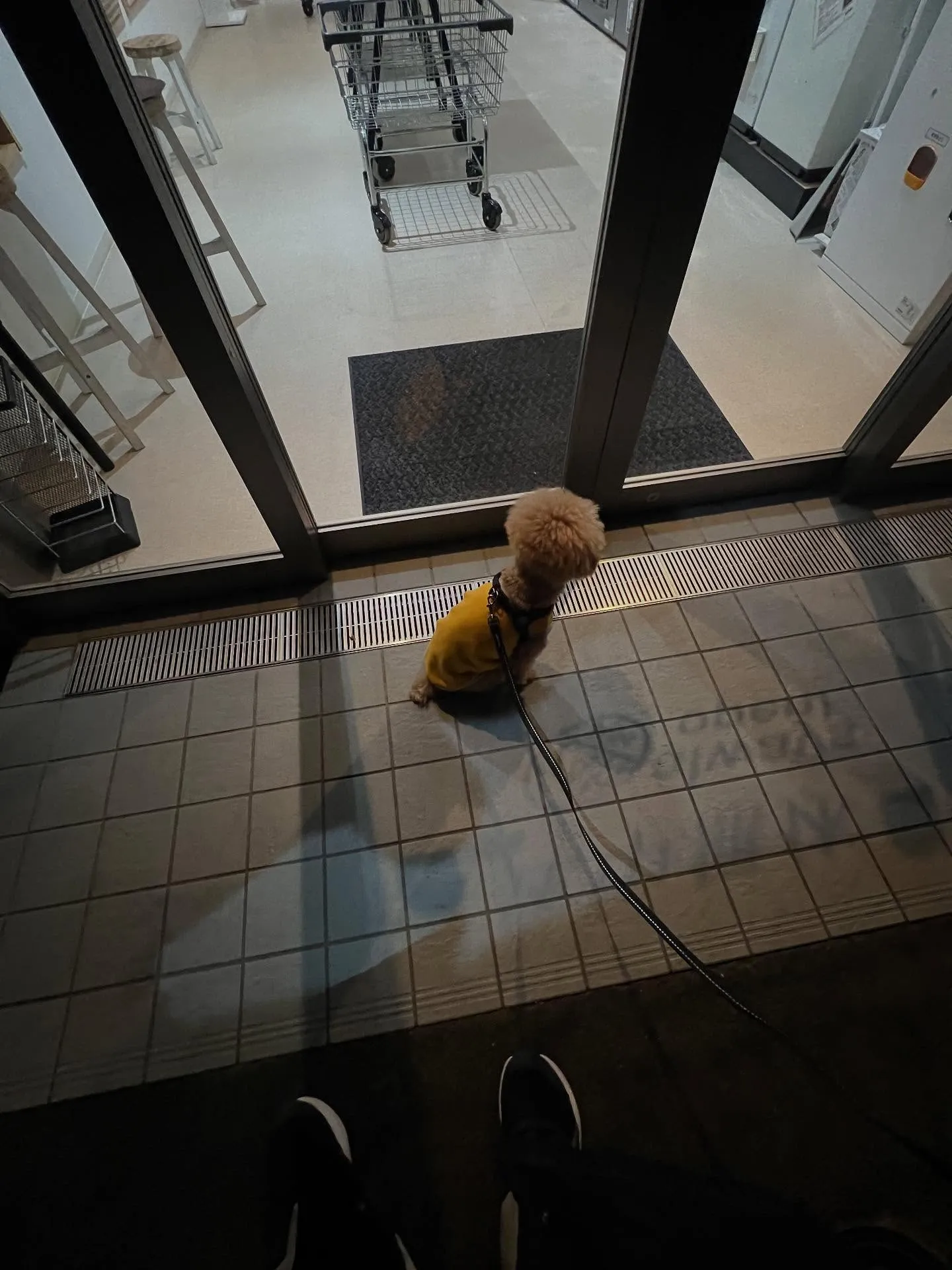 あなたもエアコンのプロフェッショナルになれるチャンスです!❄...