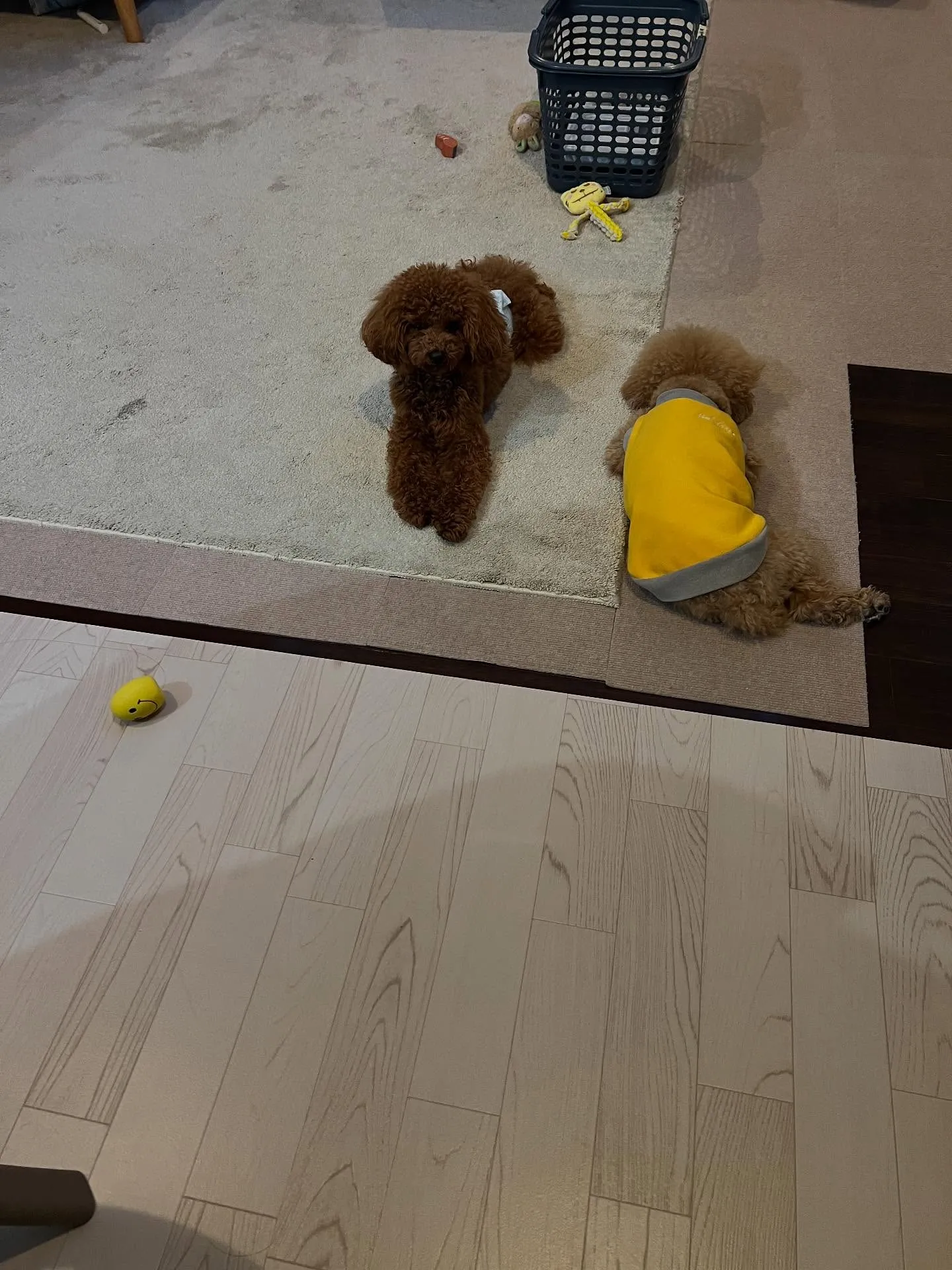 あなたもエアコンのプロフェッショナルになれるチャンスです!❄...