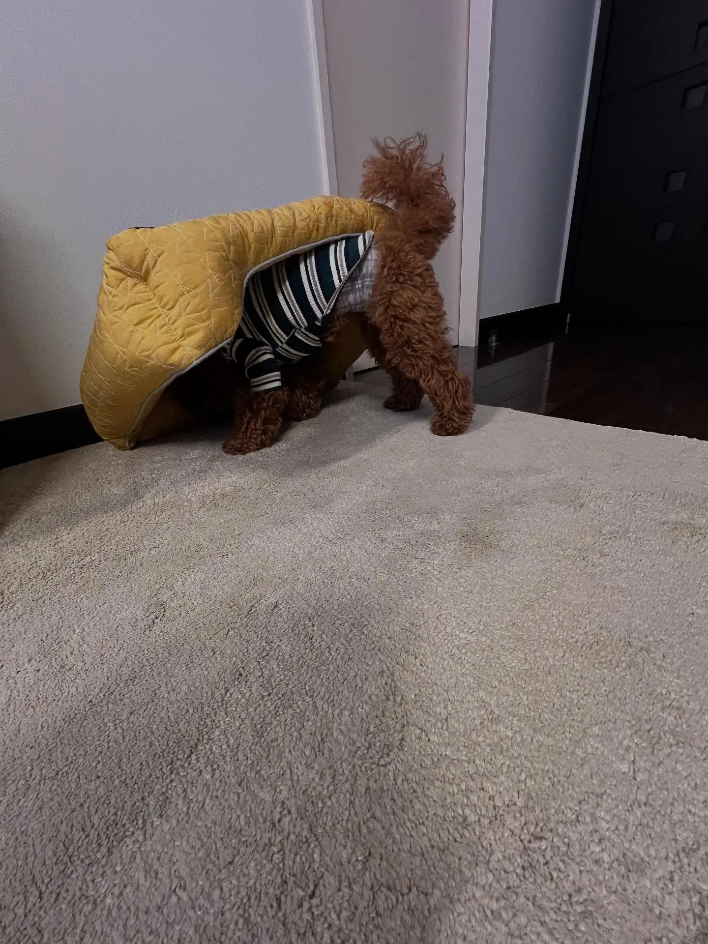 宮城県でエアコン技術を極めるなら、エアコン塾が最高の選択です...