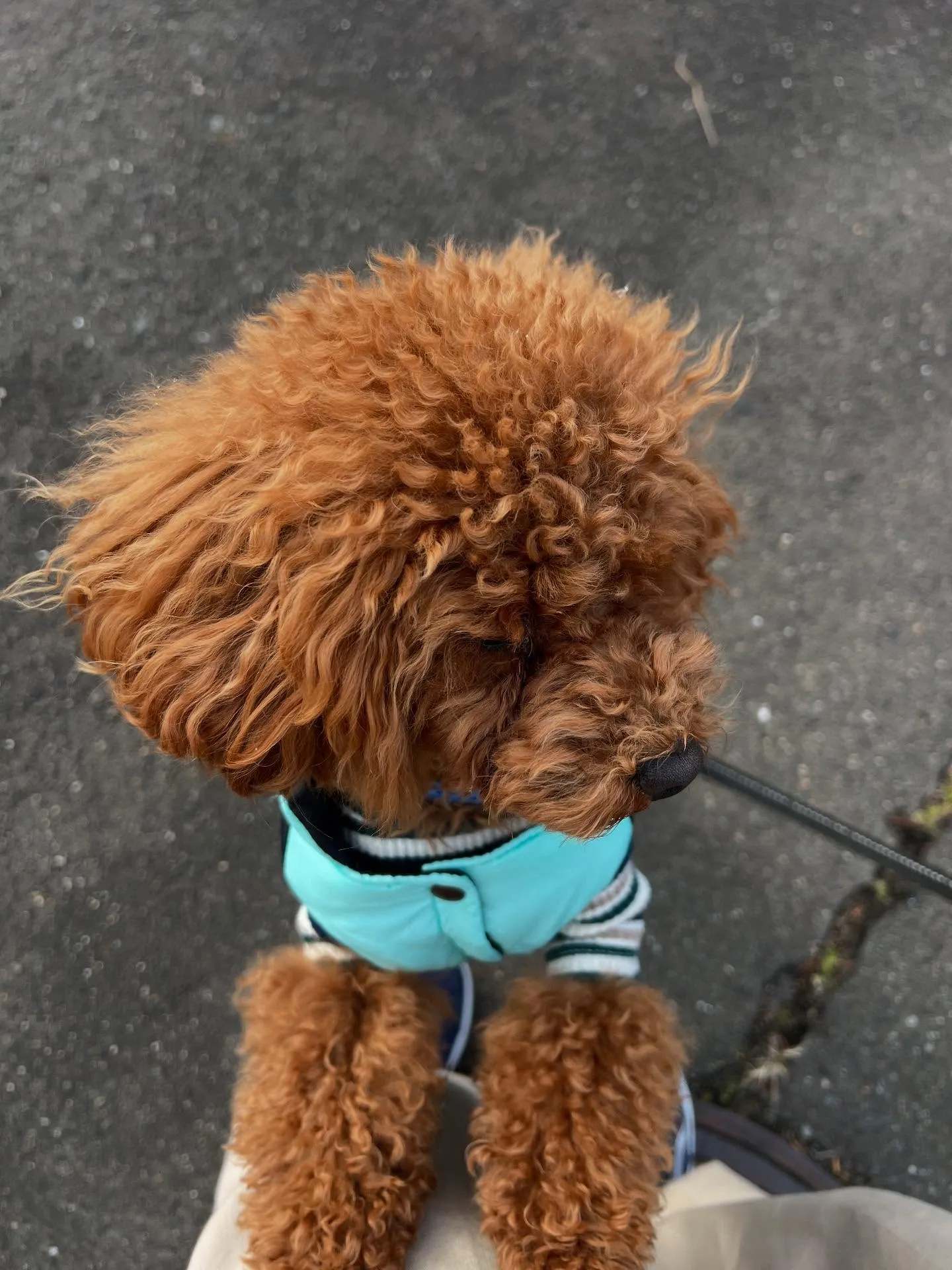 宮城県でエアコン技術を極めるなら、エアコン塾が最高の選択です...