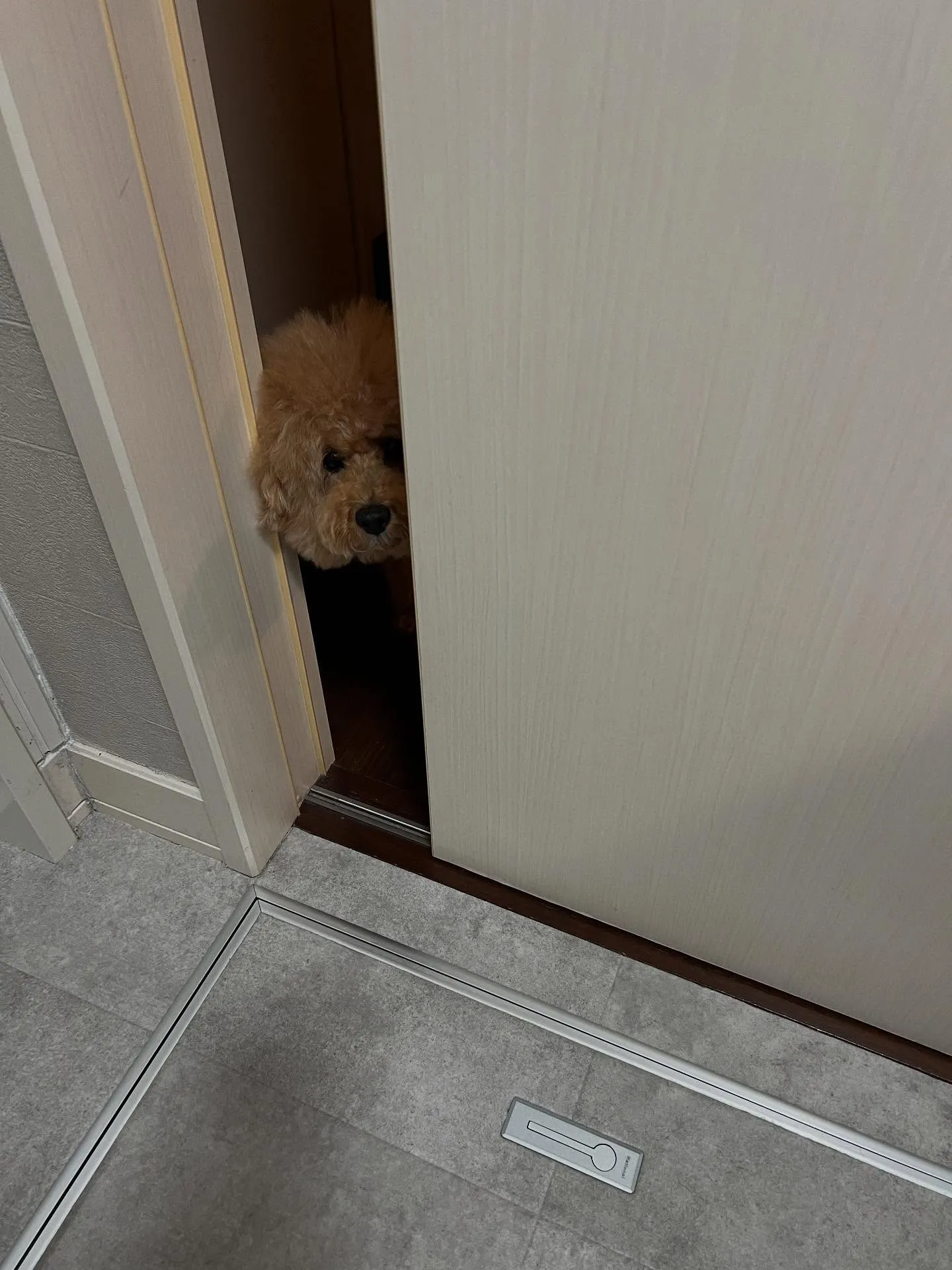 仙台エアコンリースでは、業務用から家庭用まで幅広くリースが可...