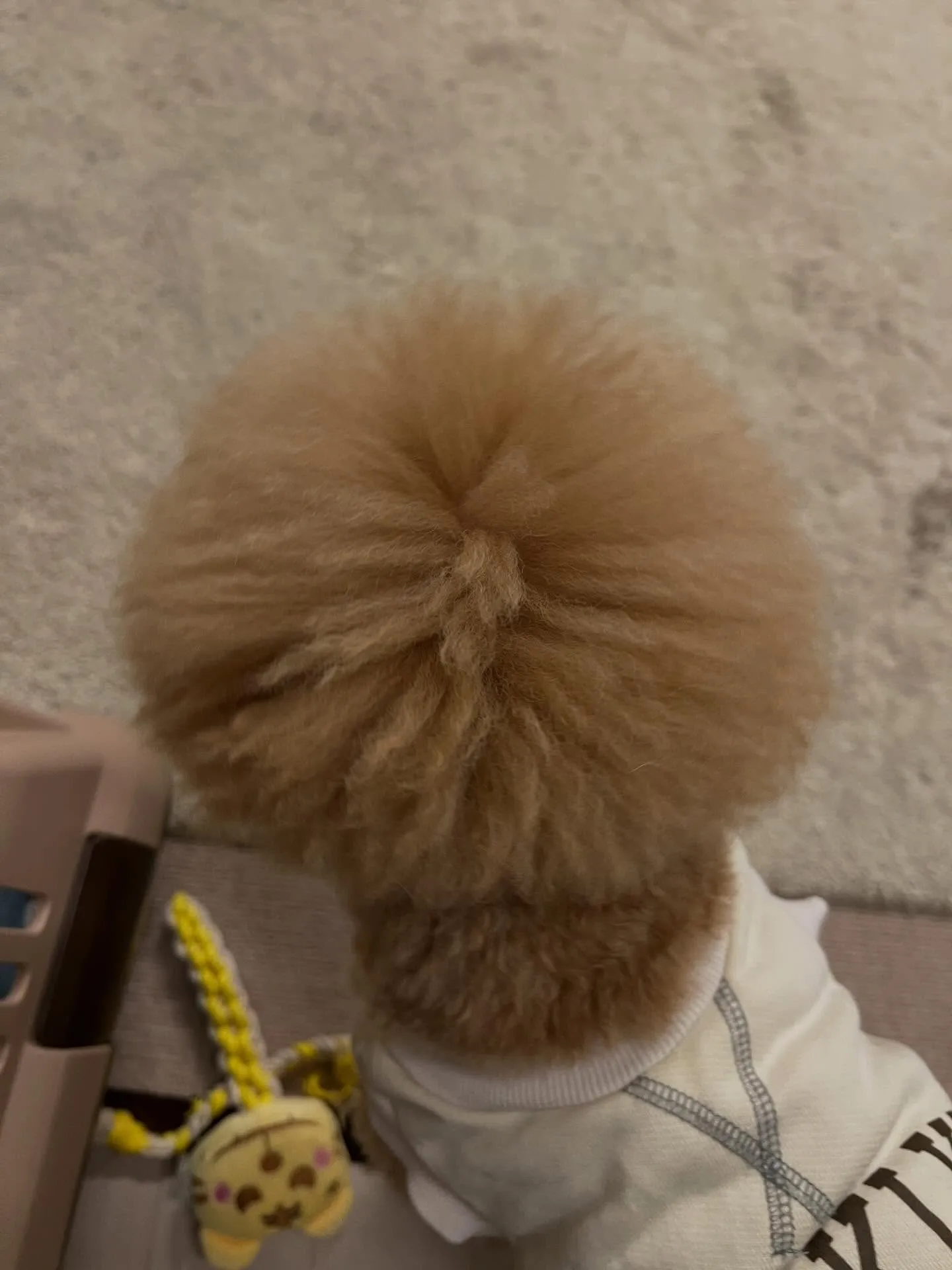 仙台で業務用エアコンをお探しの皆さん、初期投資を抑えて快適な...