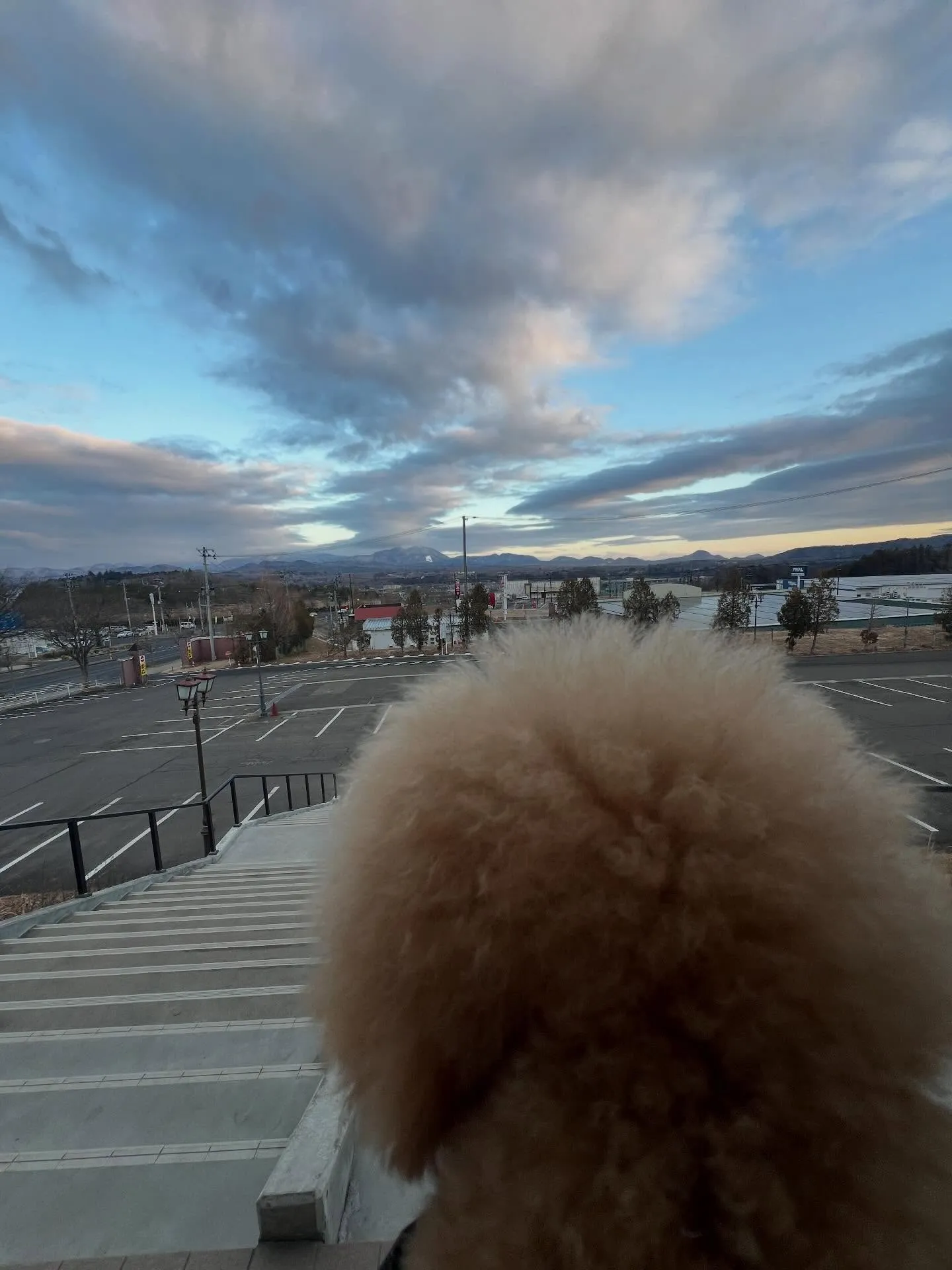業務用エアコンに困ってるあなた！自社リースなら安心して導入で...