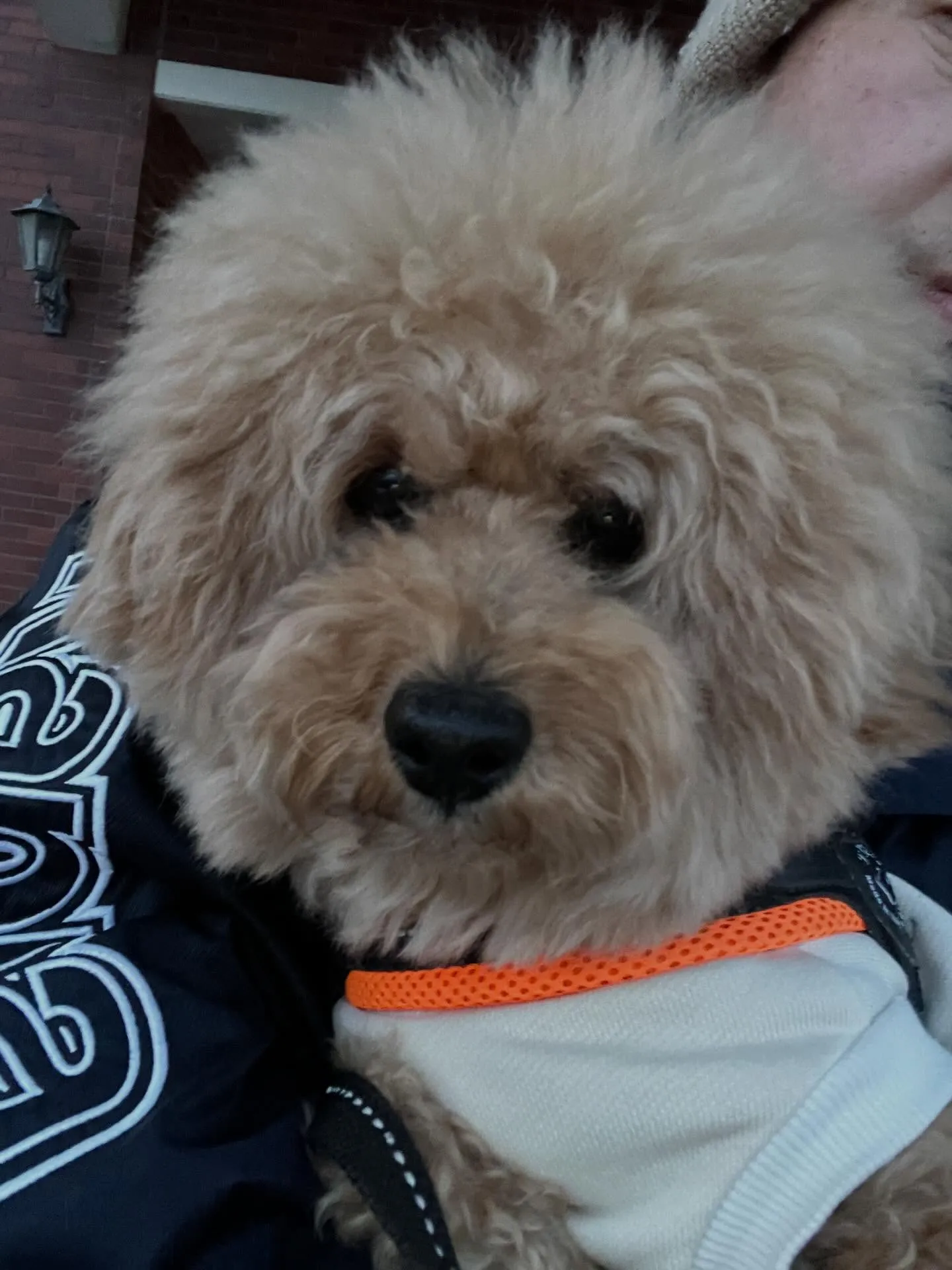 業務用エアコンに困ってるあなた！自社リースなら安心して導入で...